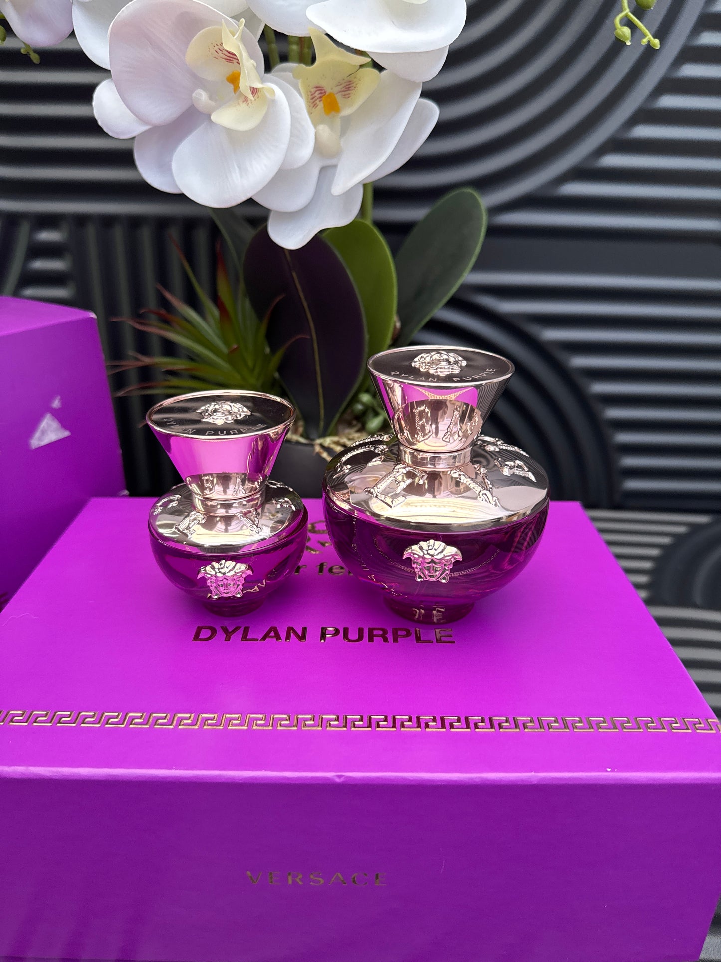Versace Purple Dylan Gift Set