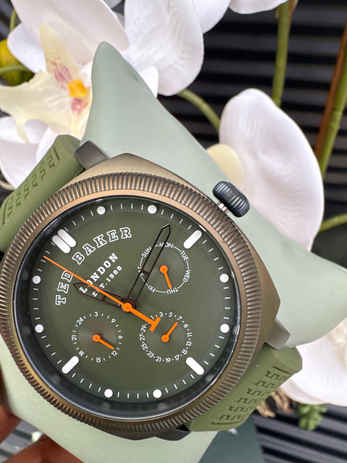 Ted Baker Green Dial Watch