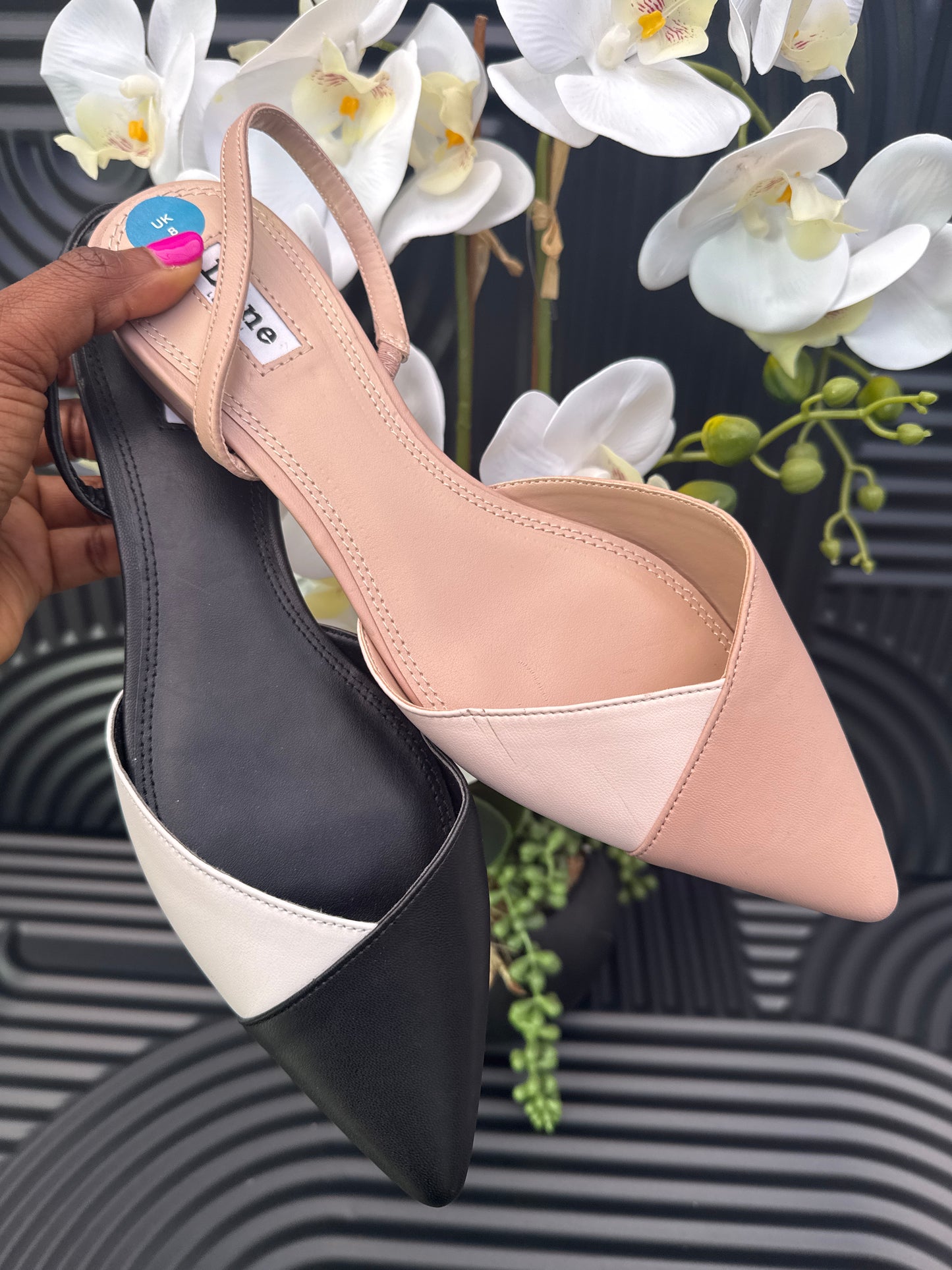 Colour Block pointed flat shoes