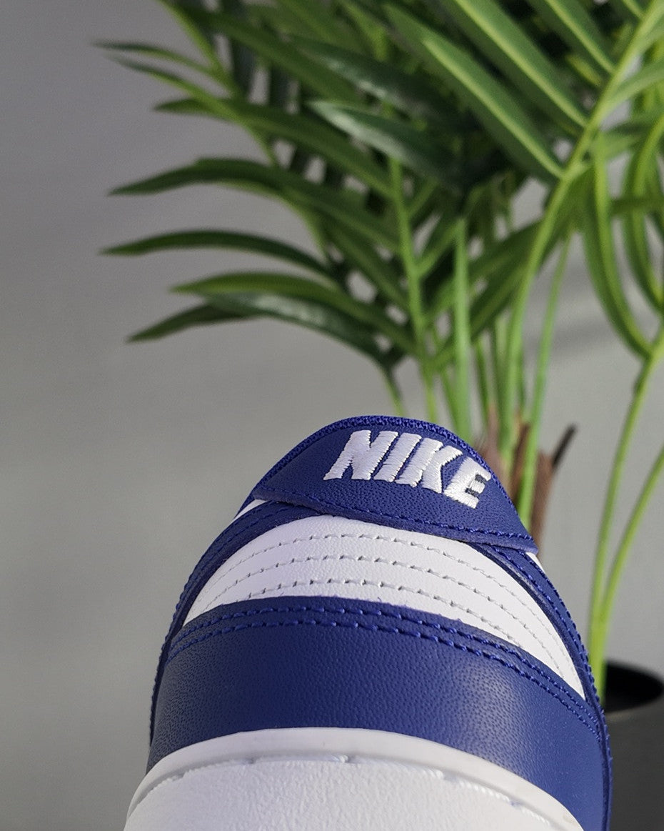 Nike Low Sneakers in Blue & White