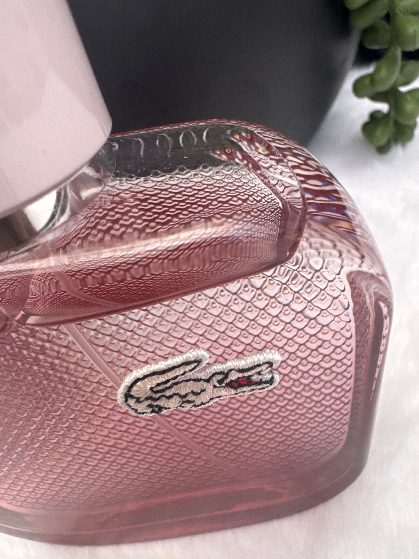 Lacoste Rose Eau De Toilette 100ml