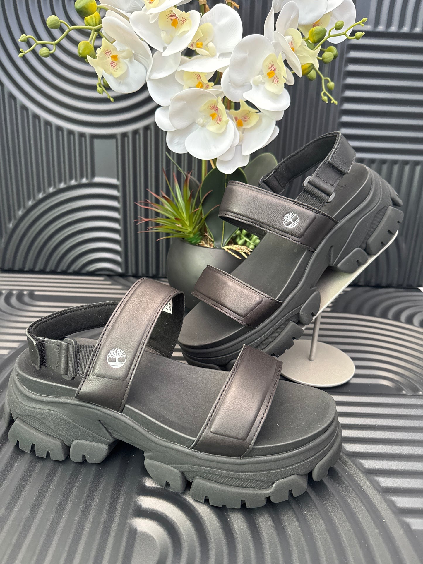 Timberland Sandals in Black