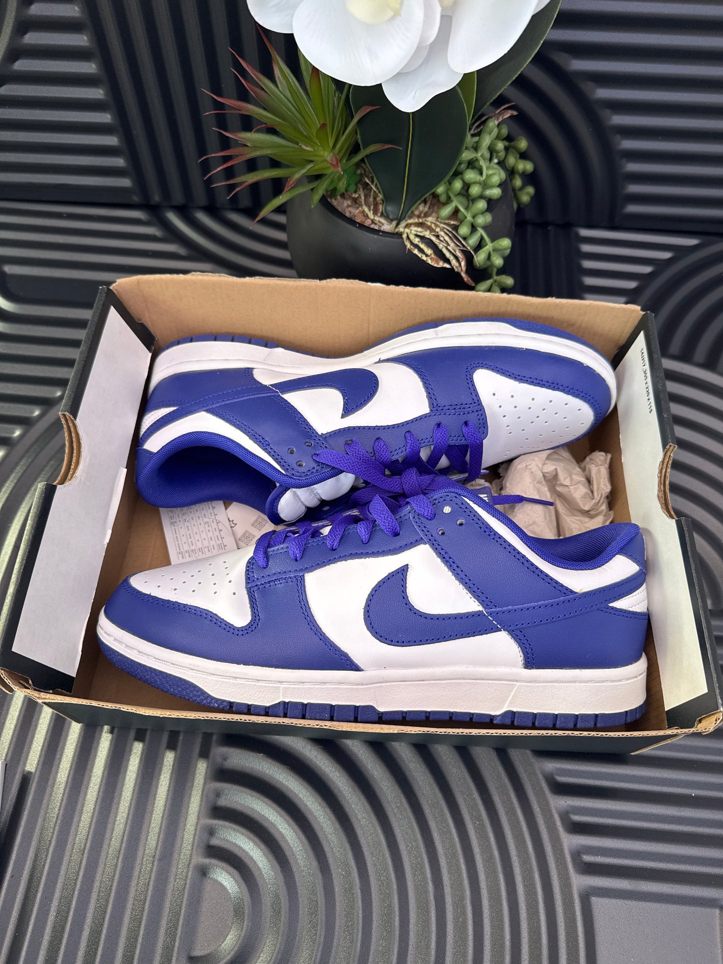 Nike Low Sneakers in Blue & White