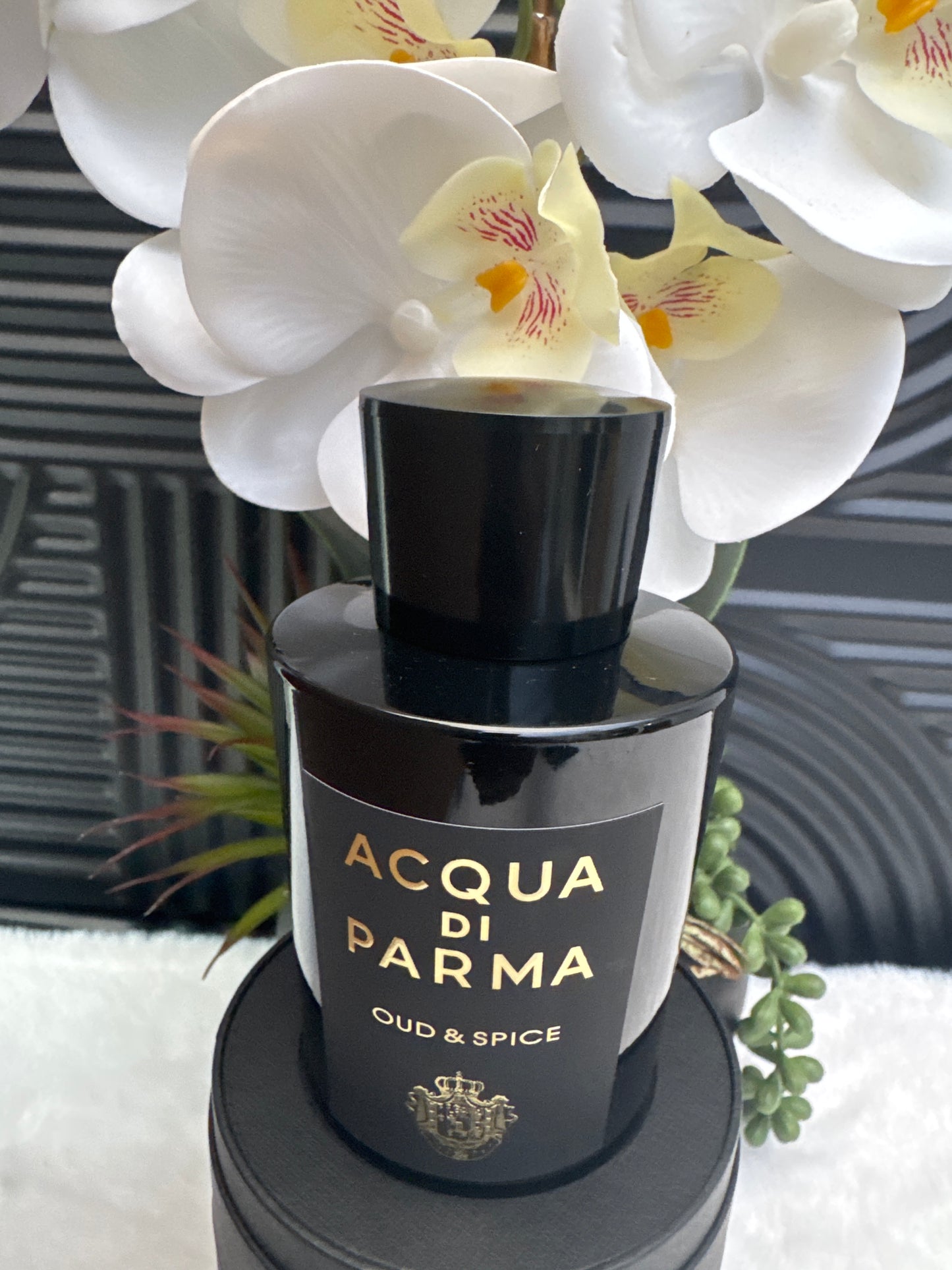 Acqua Di Parma Oud & Spice EDP