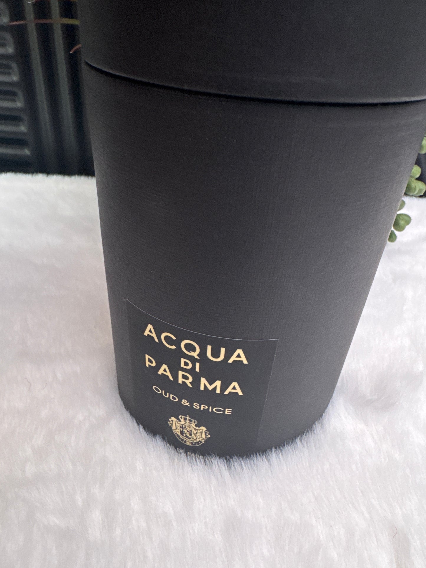 Acqua Di Parma Oud & Spice EDP