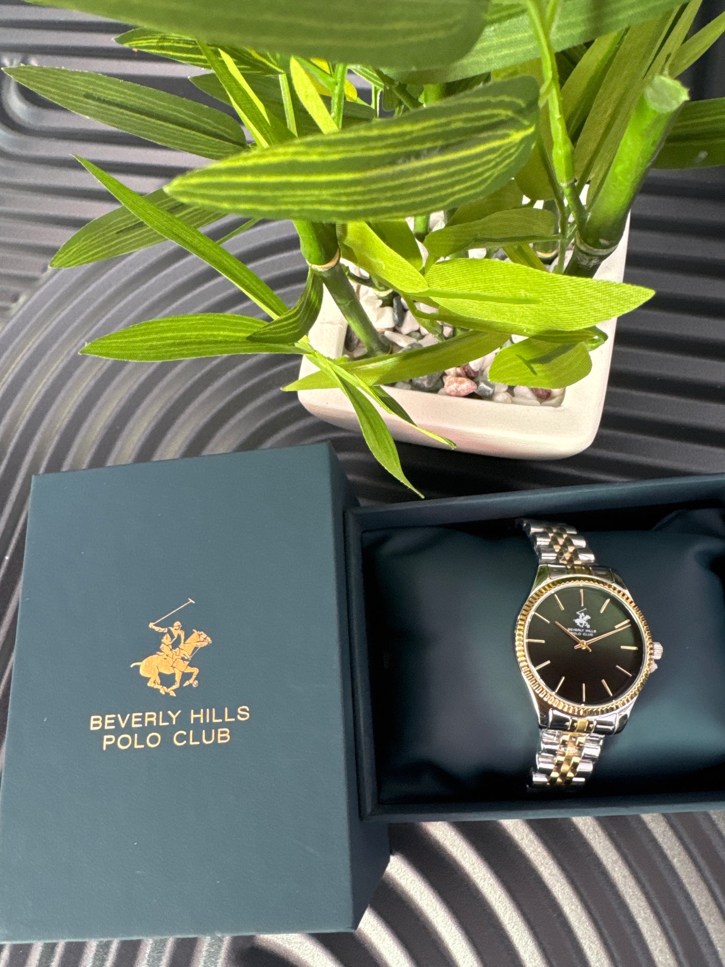 Beverly Hills Polo Club Analog Ladies Watch