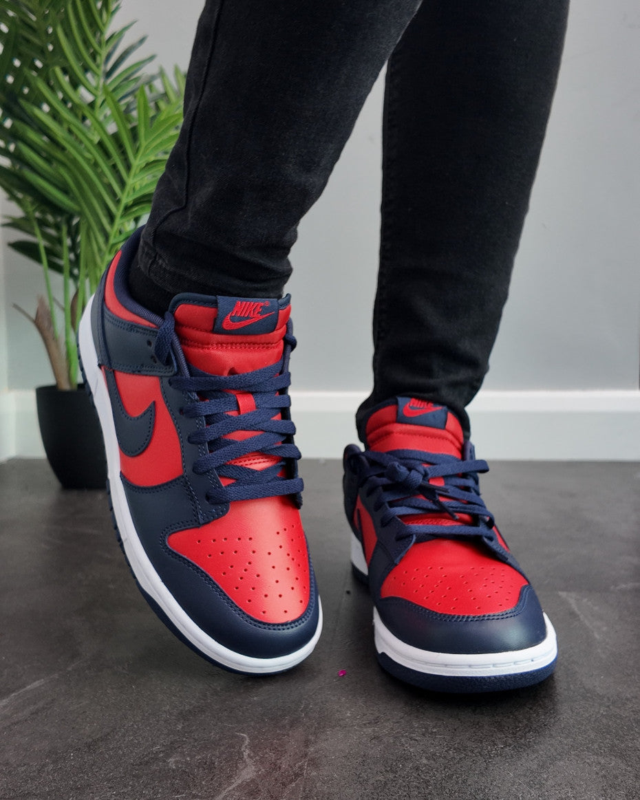 NIKE Sneakers in Red and Blue