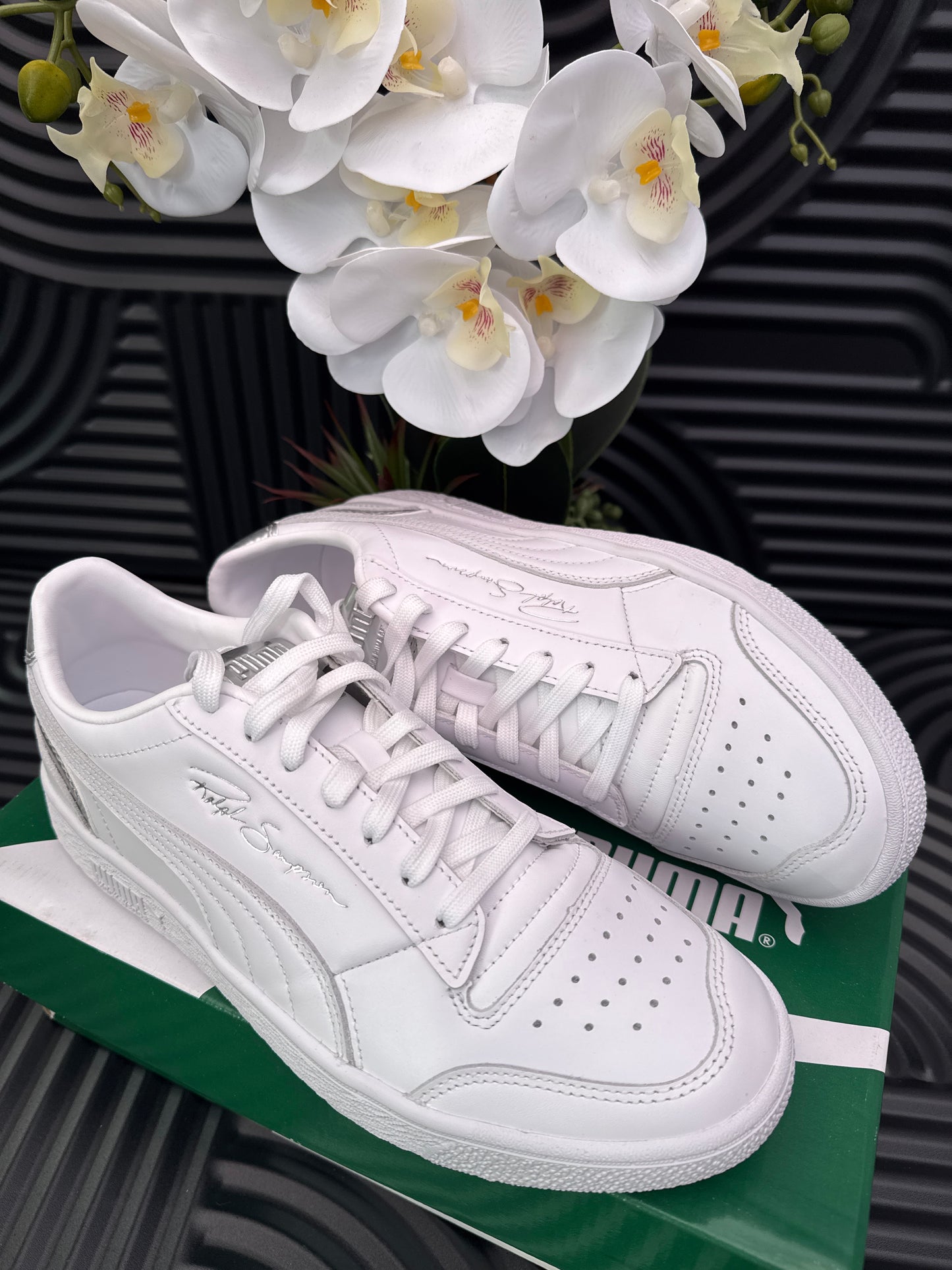 Puma x Ralph Low Sneakers in white