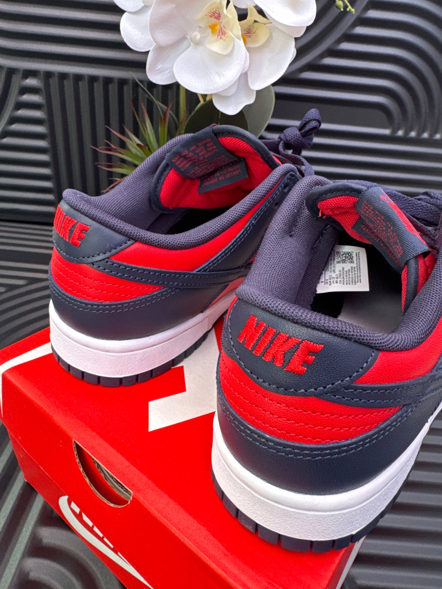 NIKE Sneakers in Red and Blue