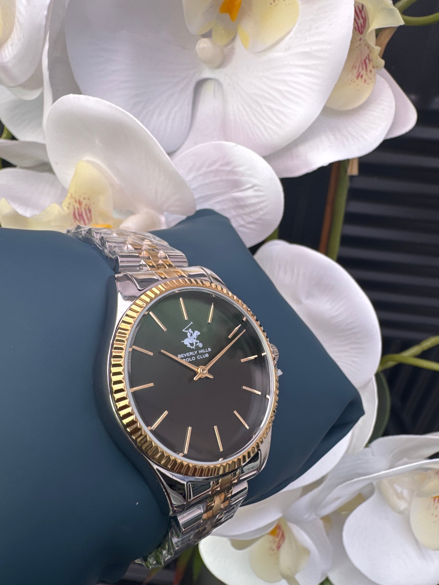 Beverly Hills Polo Club Analog Ladies Watch
