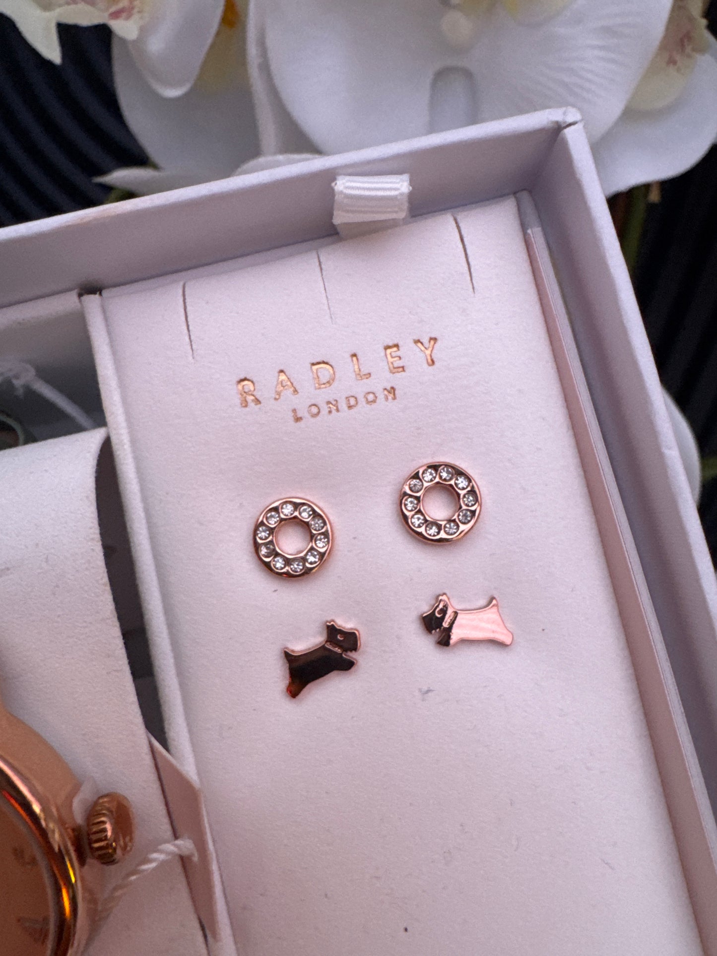 Radley Ladies Leather Strap Watch and Earring Set