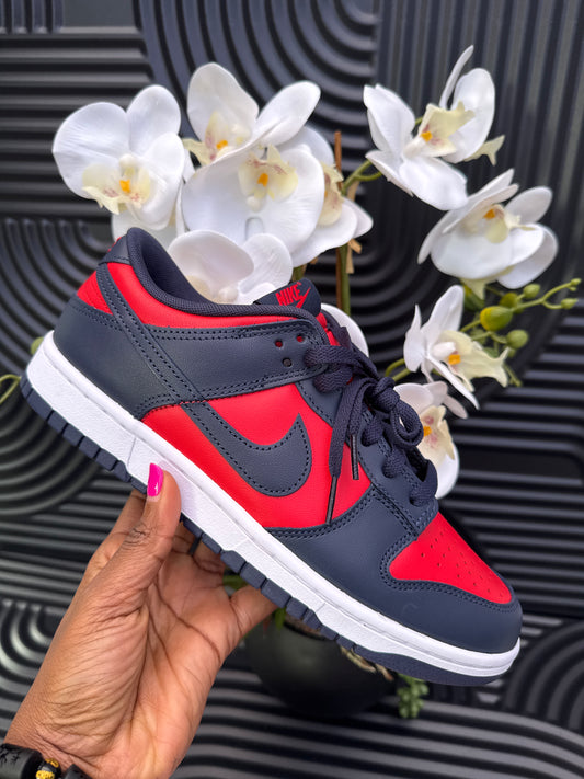 NIKE Sneakers in Red and Blue