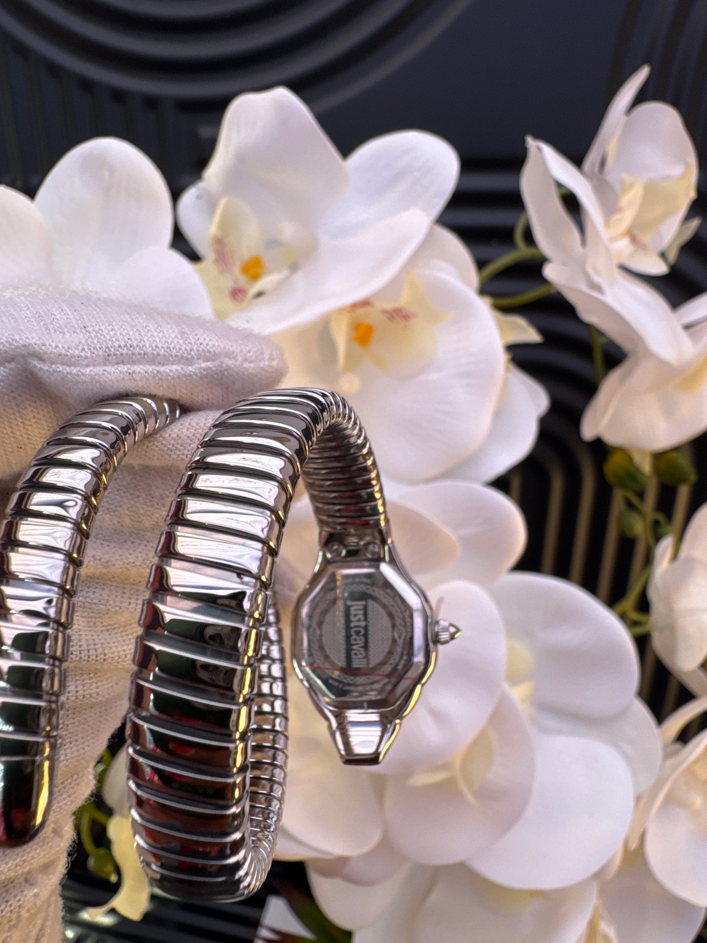 Just Cavalli Women's Signature Snake Quartz Watch