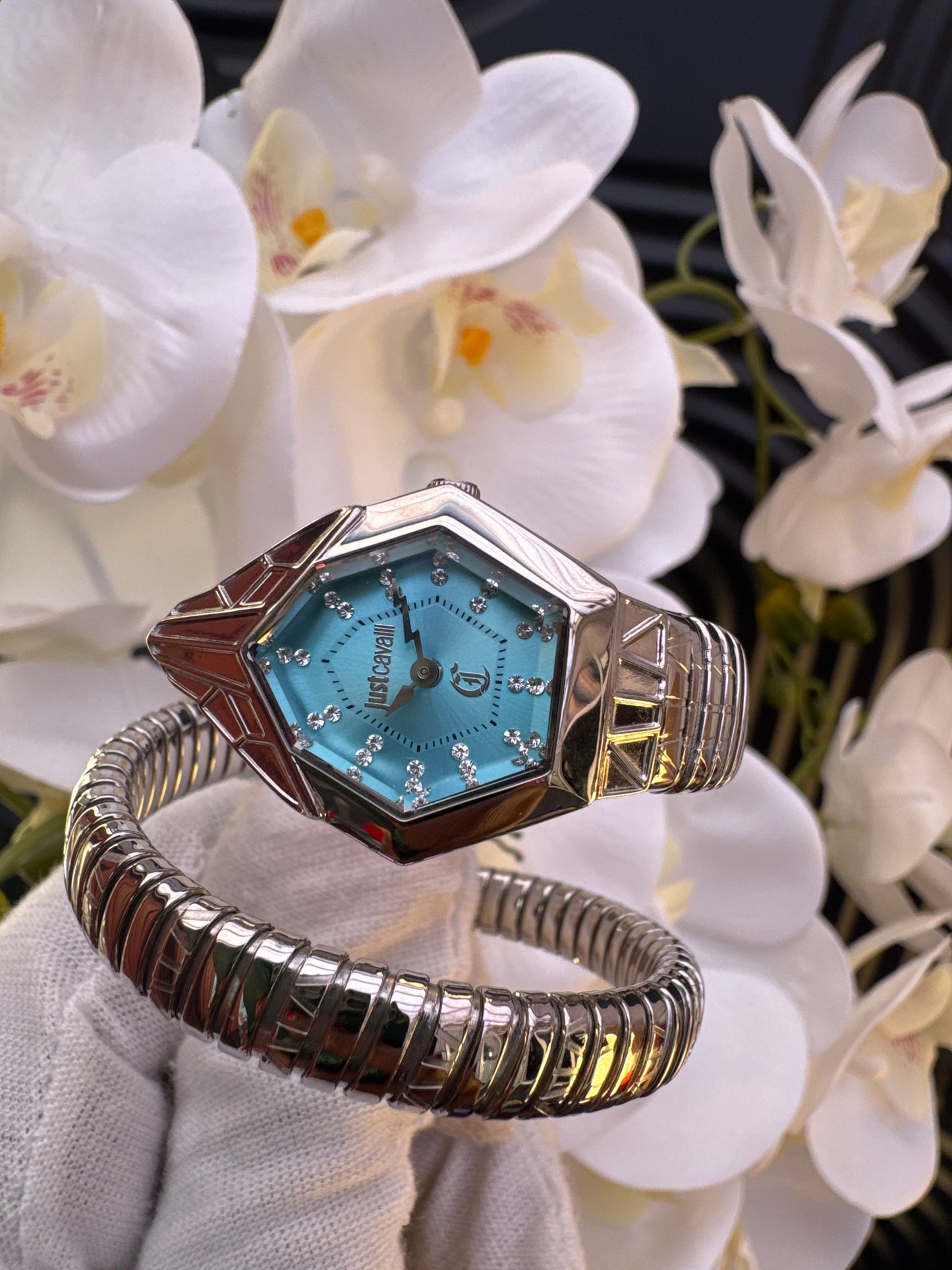 Just Cavalli Signature Silver with blue dial Watch