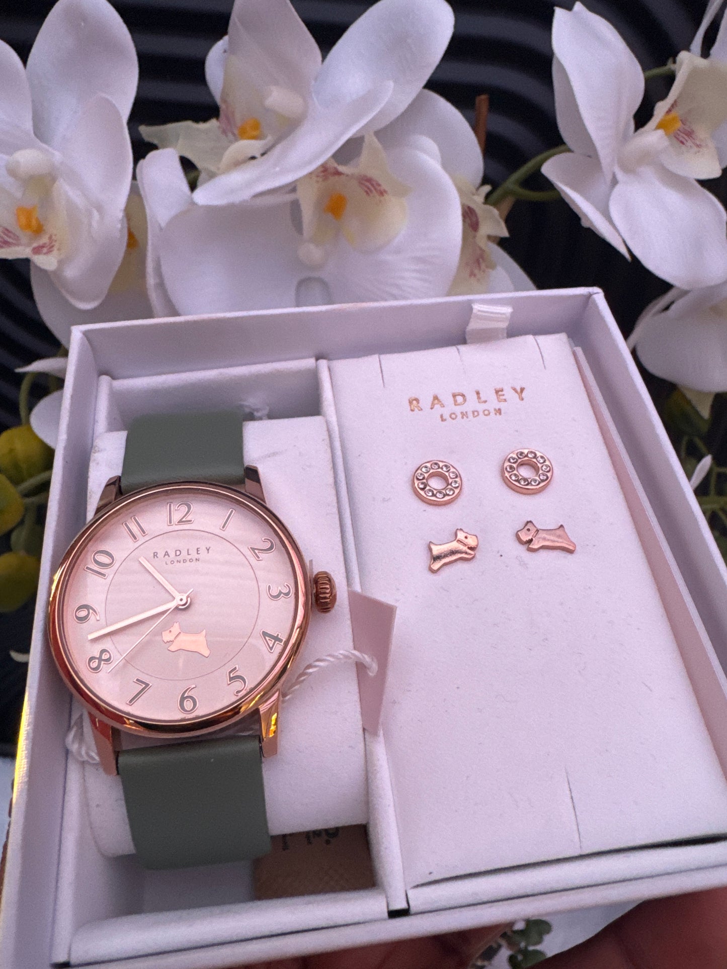 Radley Ladies Leather Strap Watch and Earring Set
