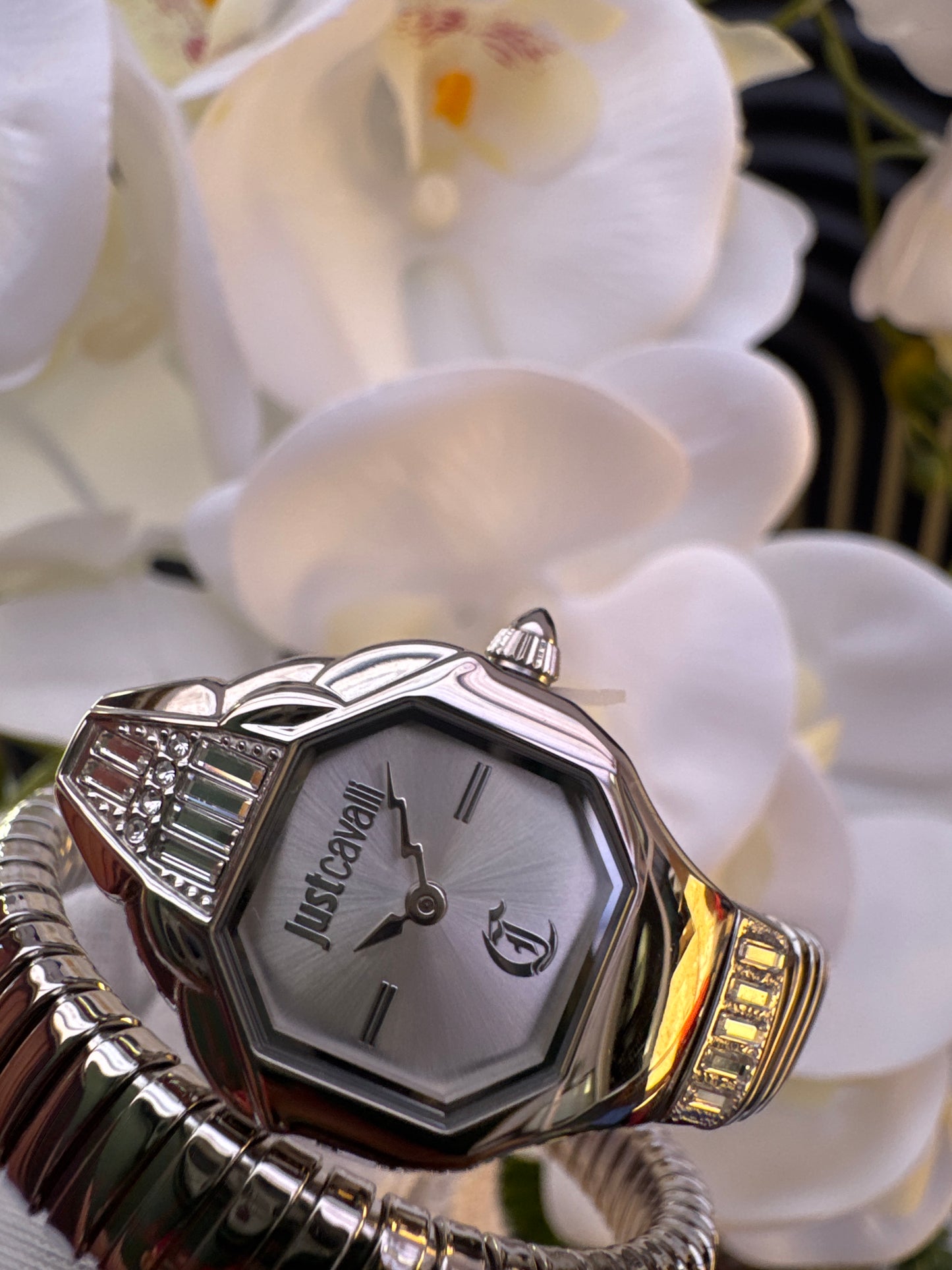 Just Cavalli Women's Signature Snake Quartz Watch