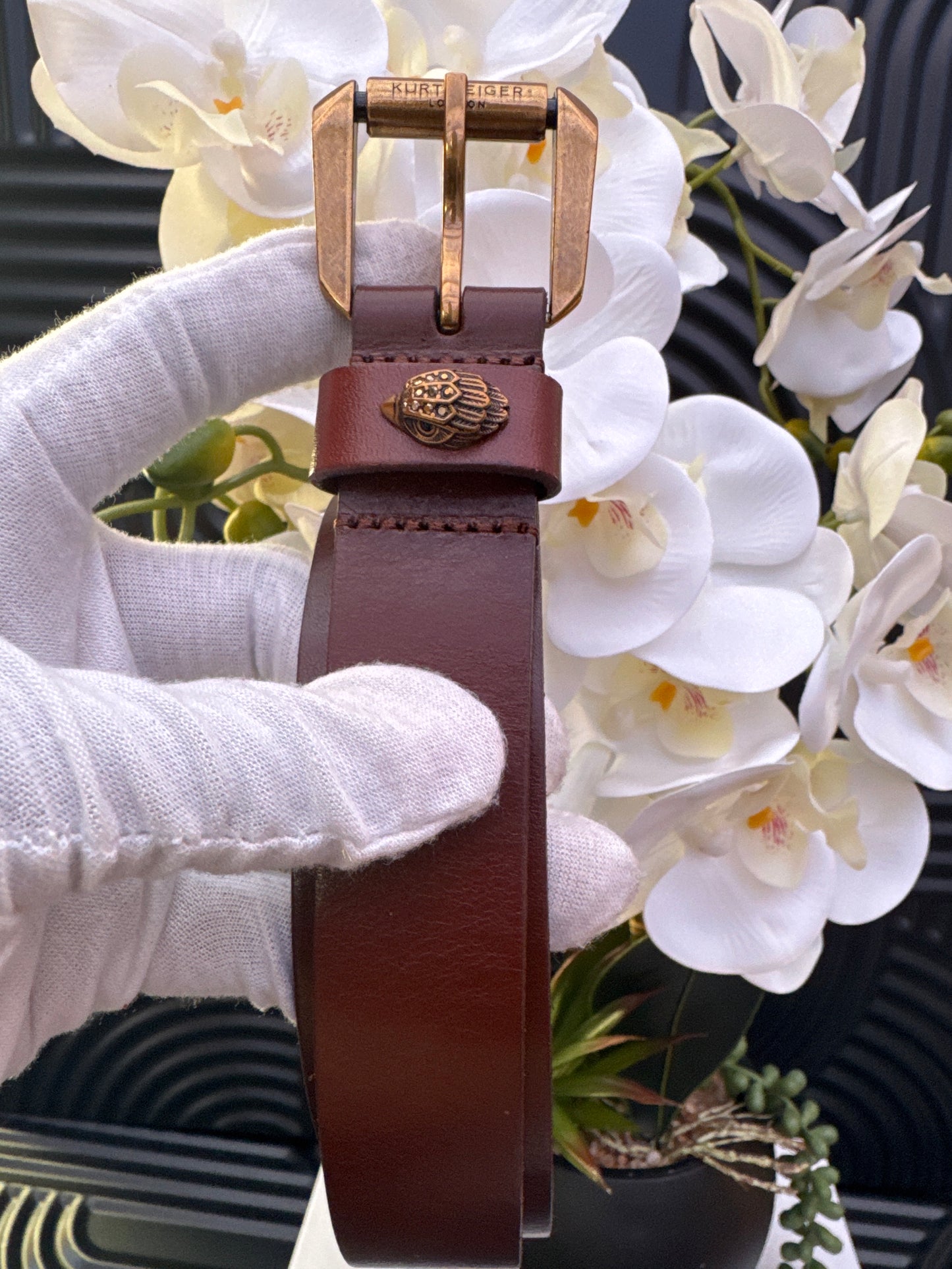 Kurt Geiger KG Brown Belt