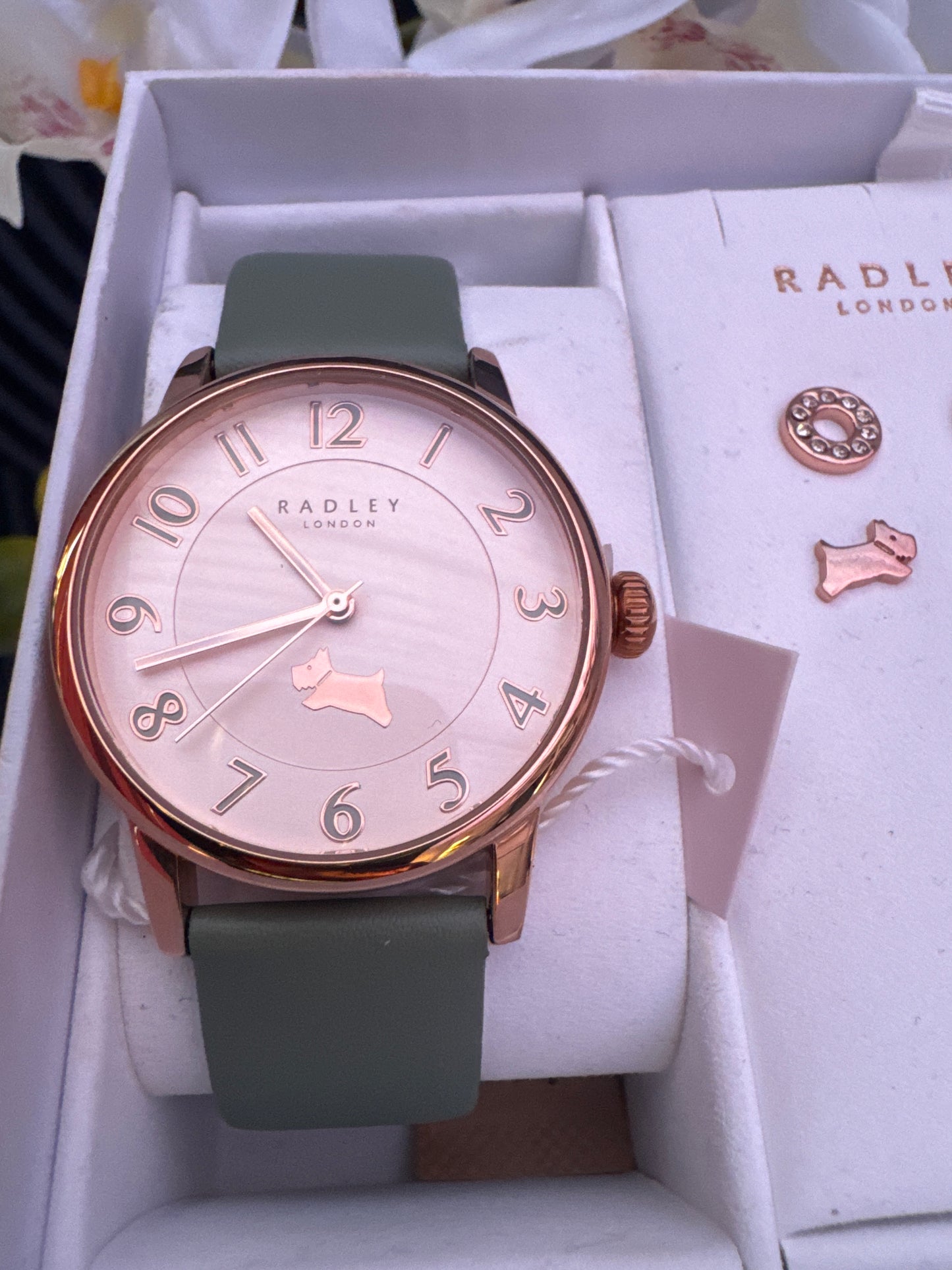Radley Ladies Leather Strap Watch and Earring Set