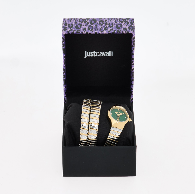 JC Stainless Steel Two Tone Snake Wrap Watch