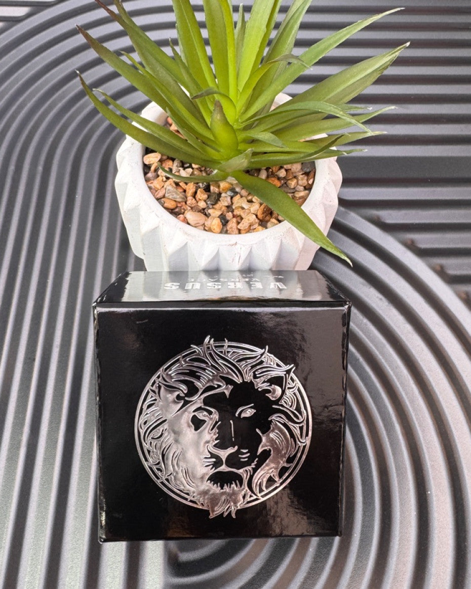 Versus Versace Bracelet Watch