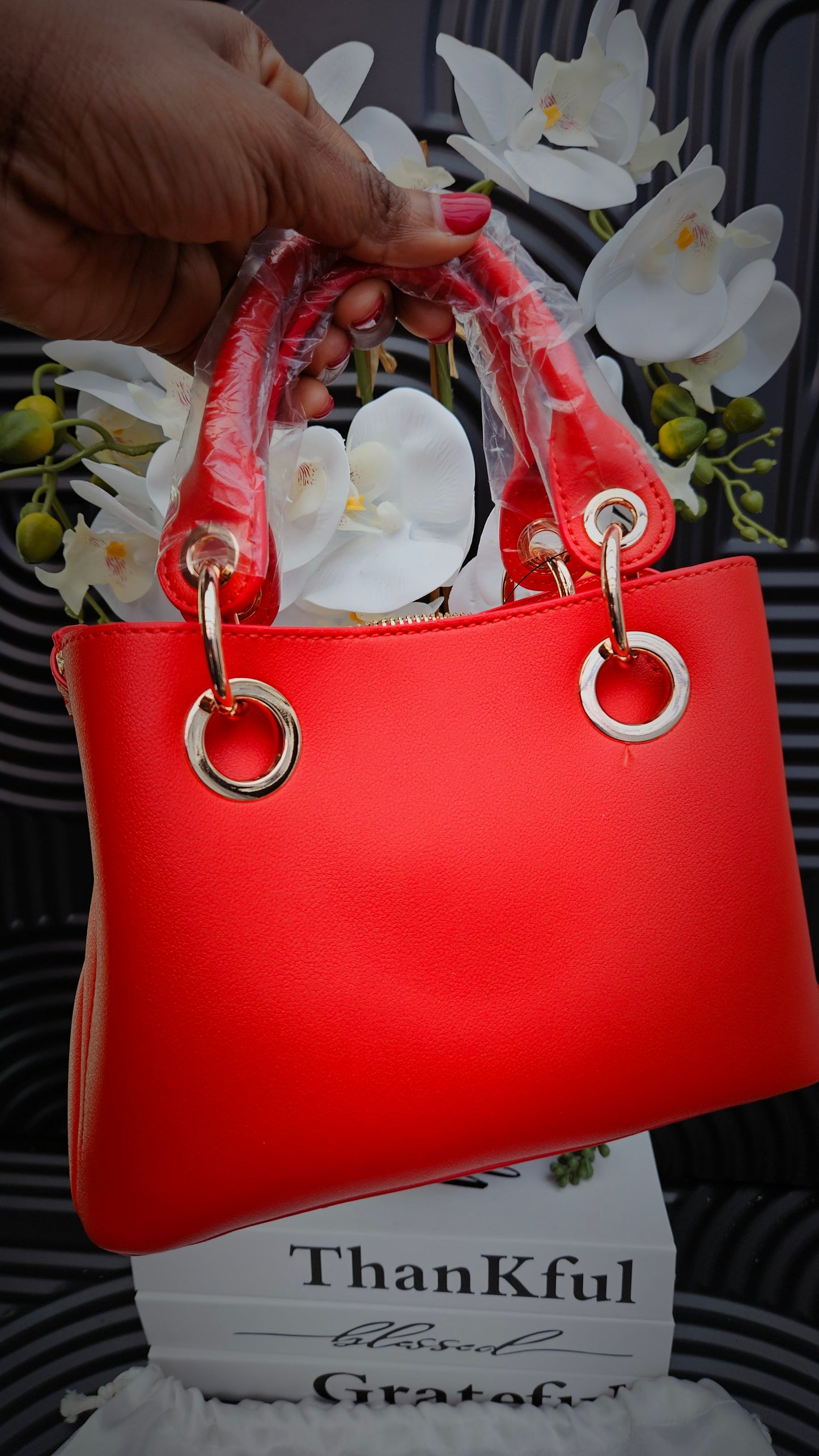 Dune Red Cut Out Crossbody Bag - Authentic Retail Product