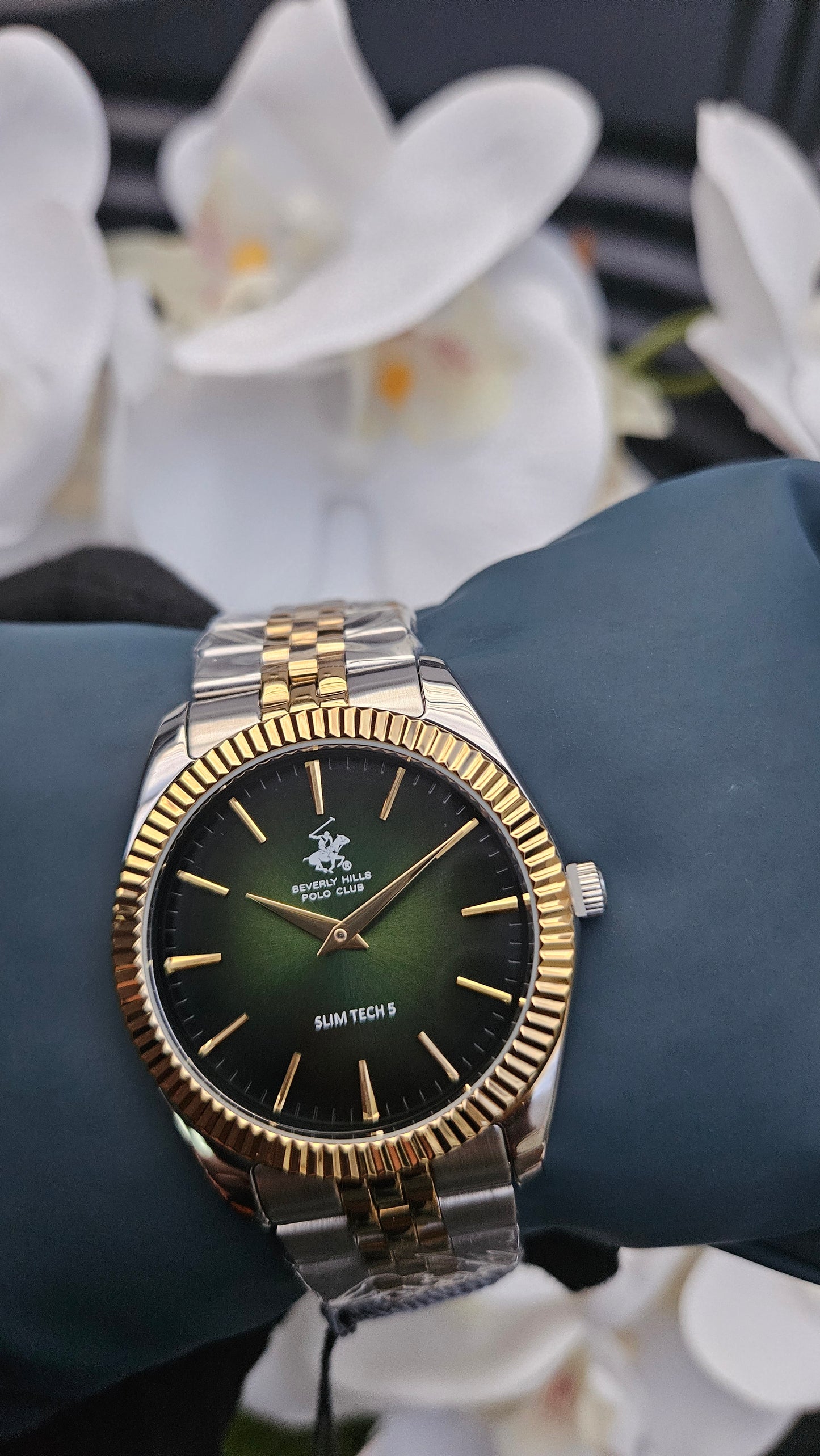 Beverly Hills Polo Club Watch with Green Dial