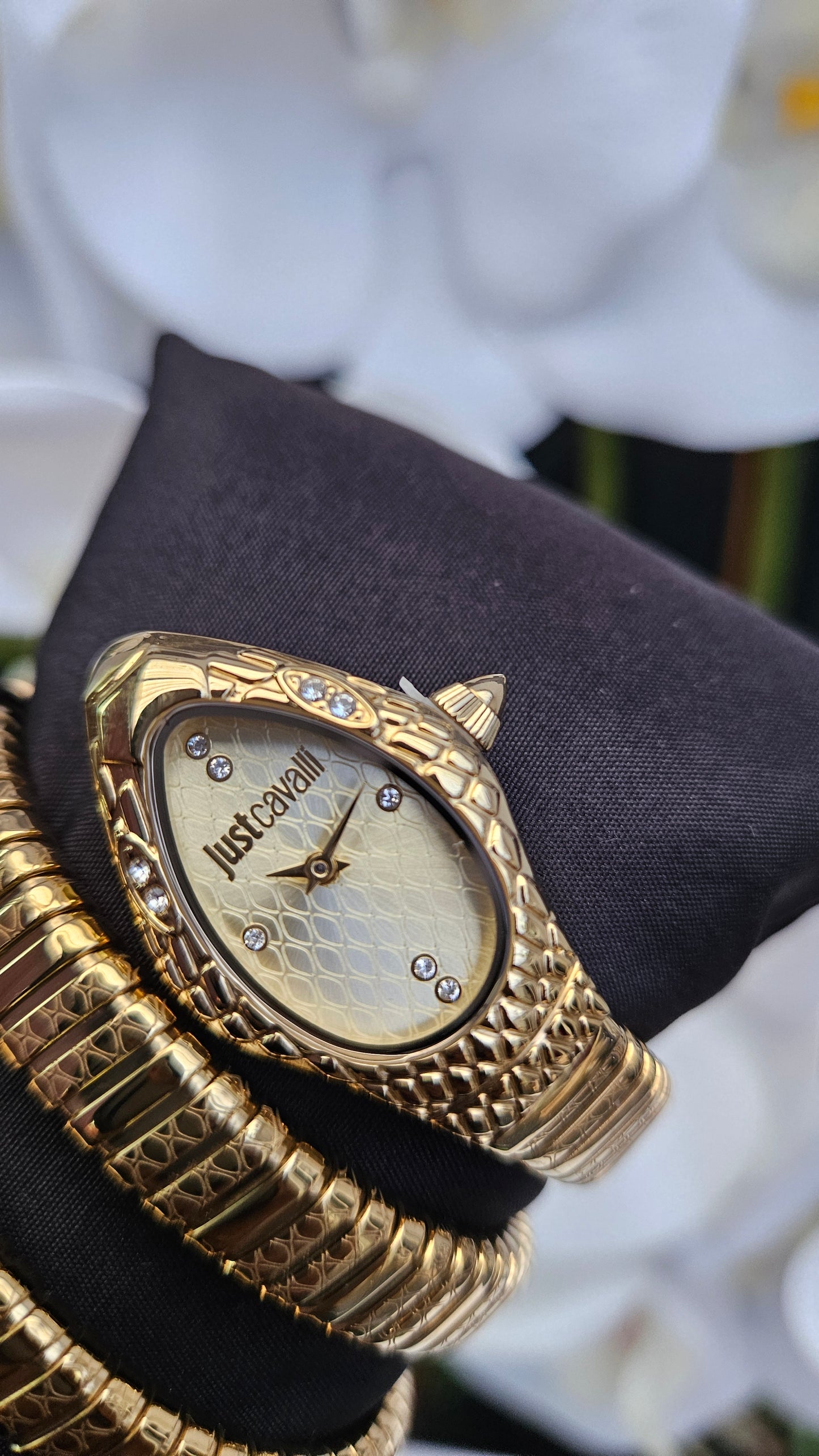 JC Ladies Gold Watch