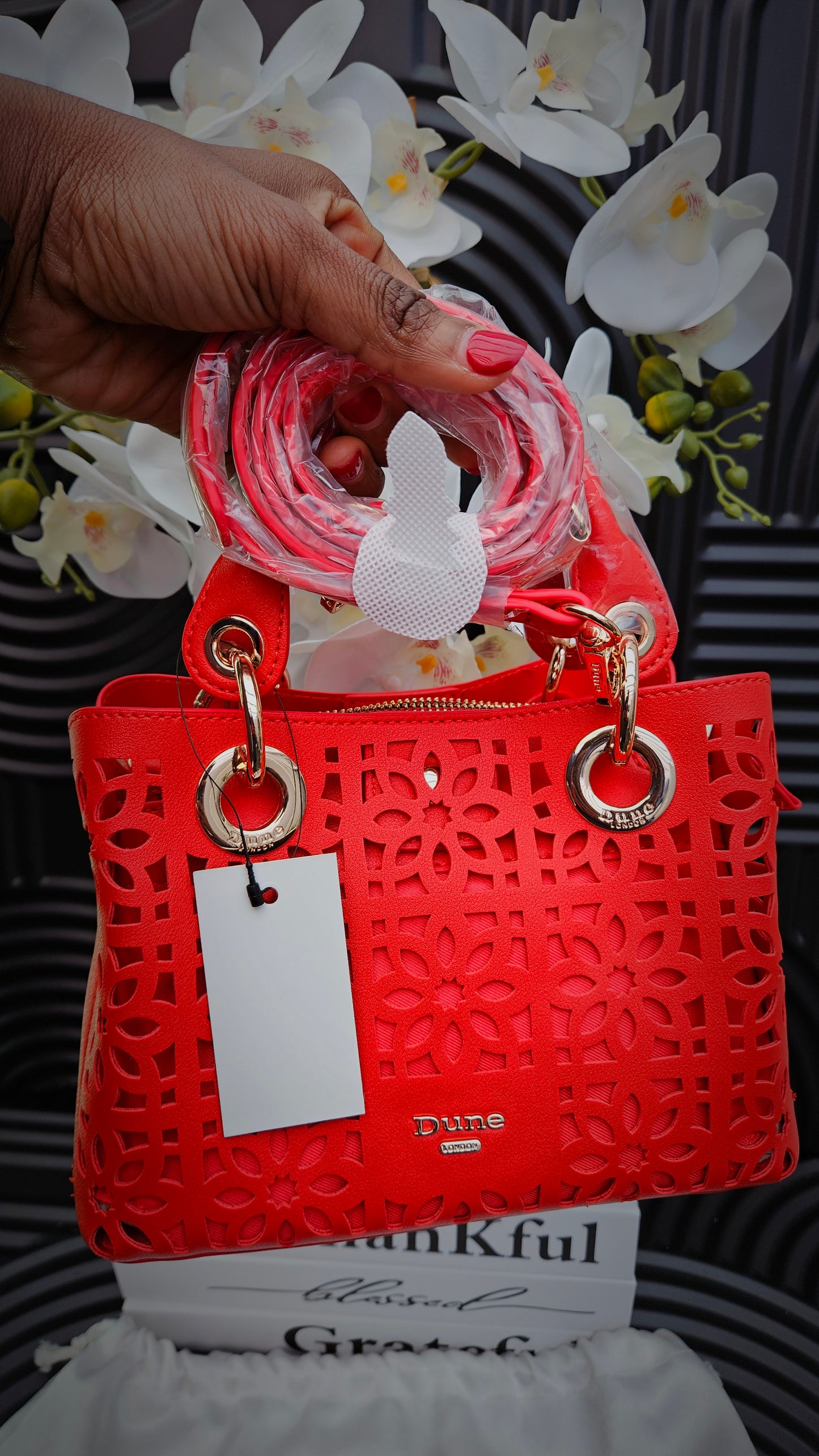 Dune Red Cut Out Crossbody Bag - Authentic Retail Product
