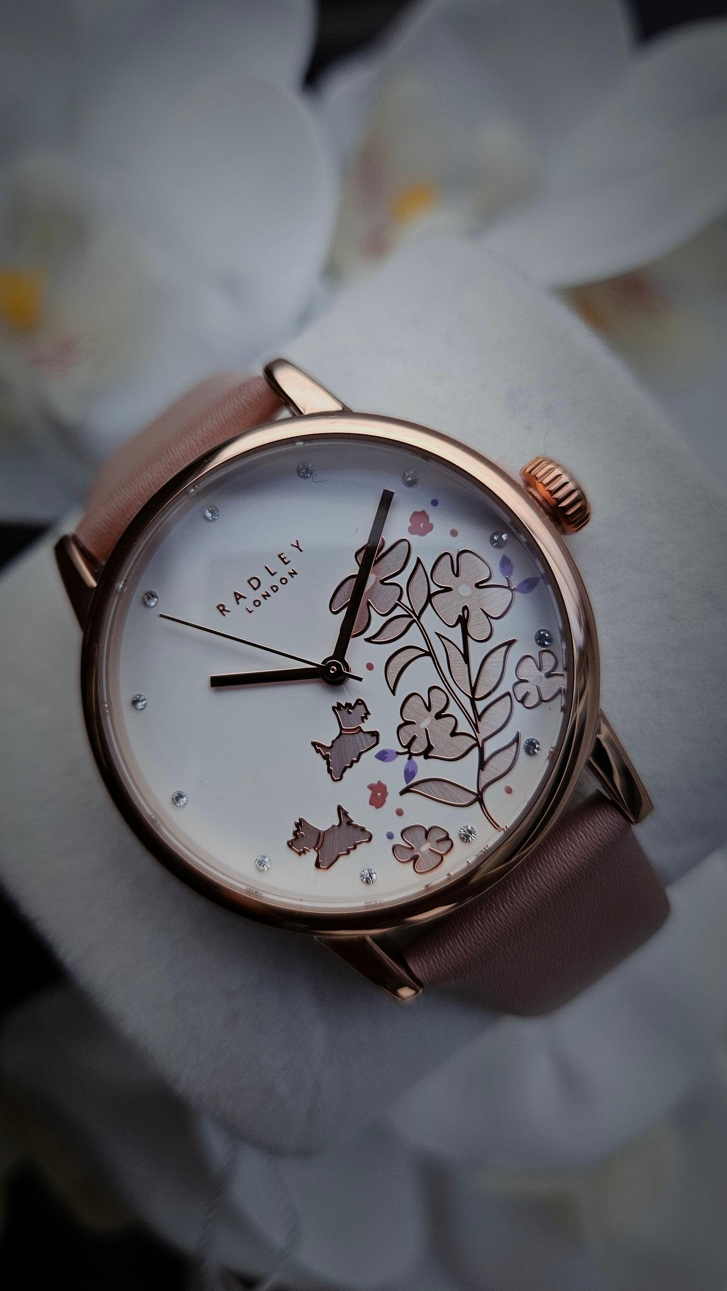 Womens Heart Trinket Set and Watch