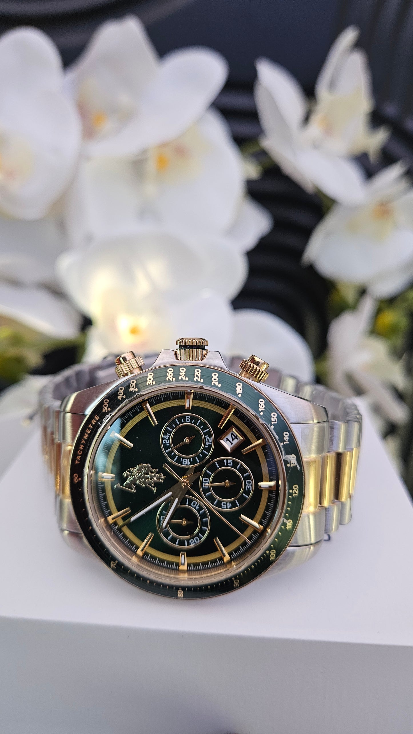 US Polo dual bracelet watch with green dial