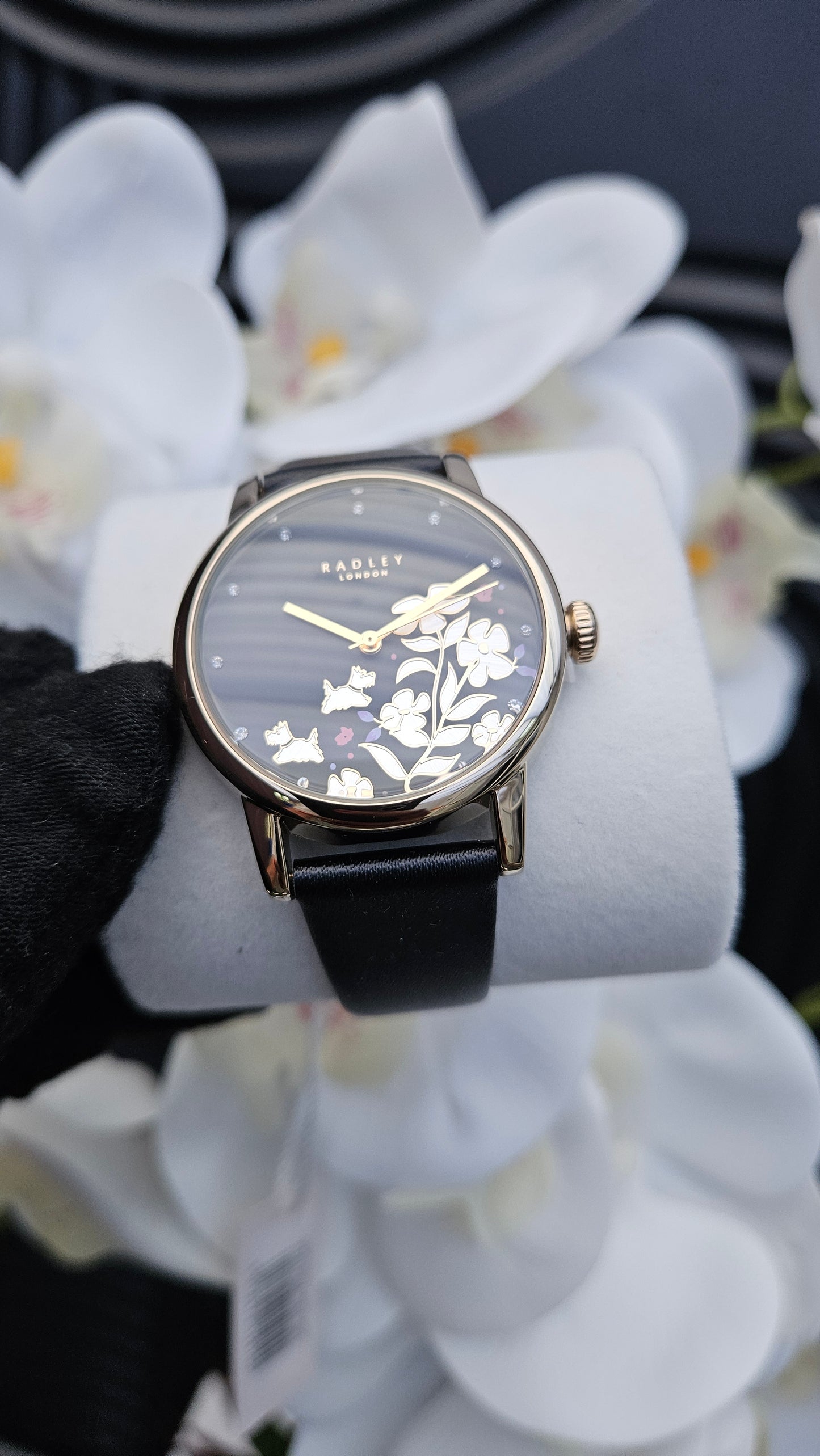 Black Strap Watch, Earrings And Trinket Tray