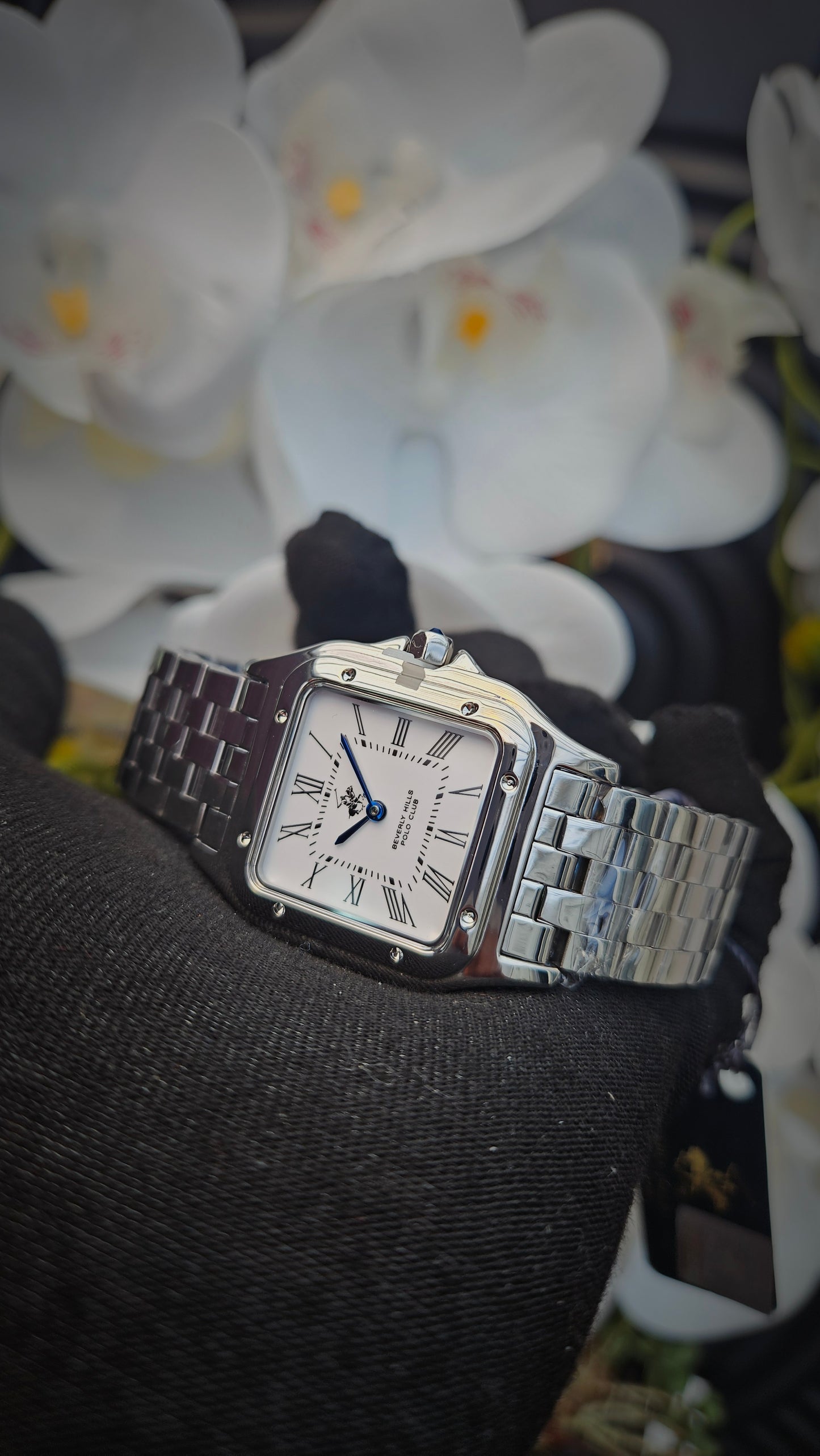 Beverly Hills Polo Club Silver Watch