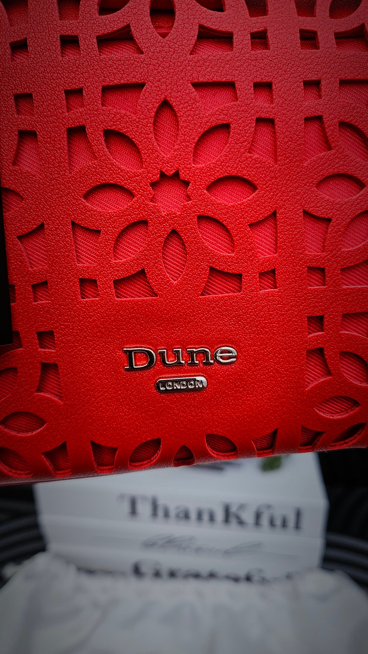 Dune Red Cut Out Crossbody Bag - Authentic Retail Product