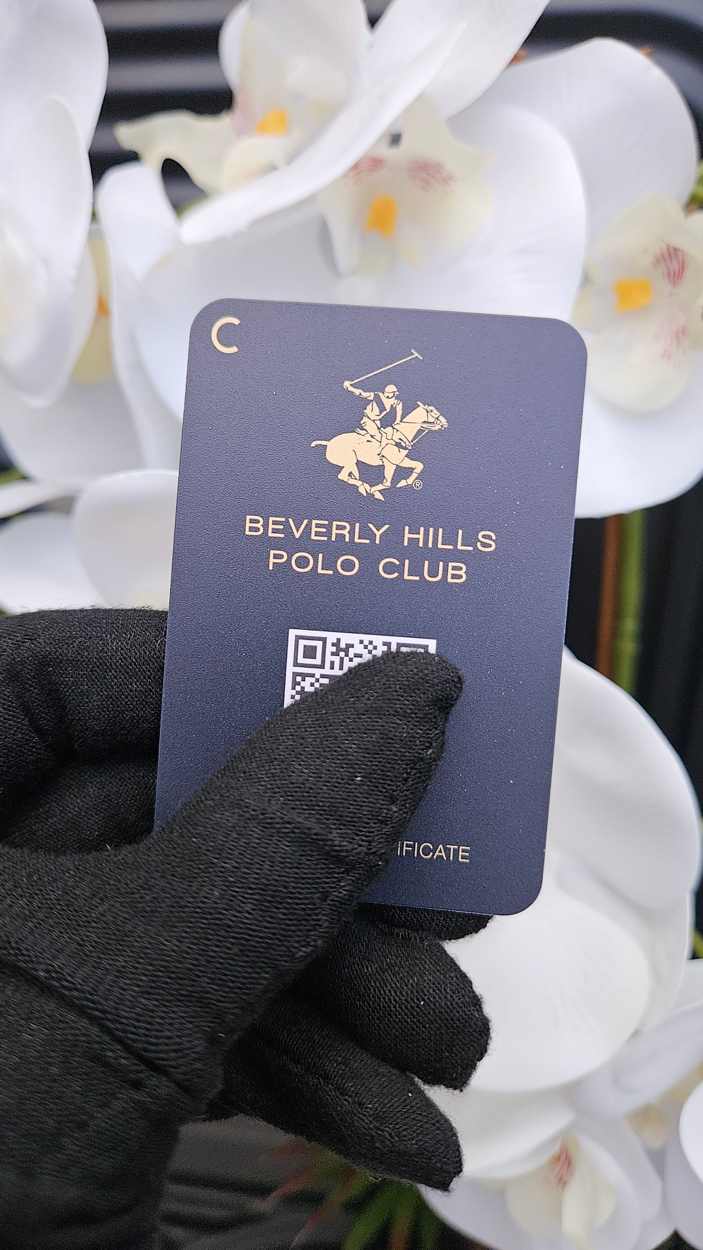 Beverly Hills Polo Club Analog Watch