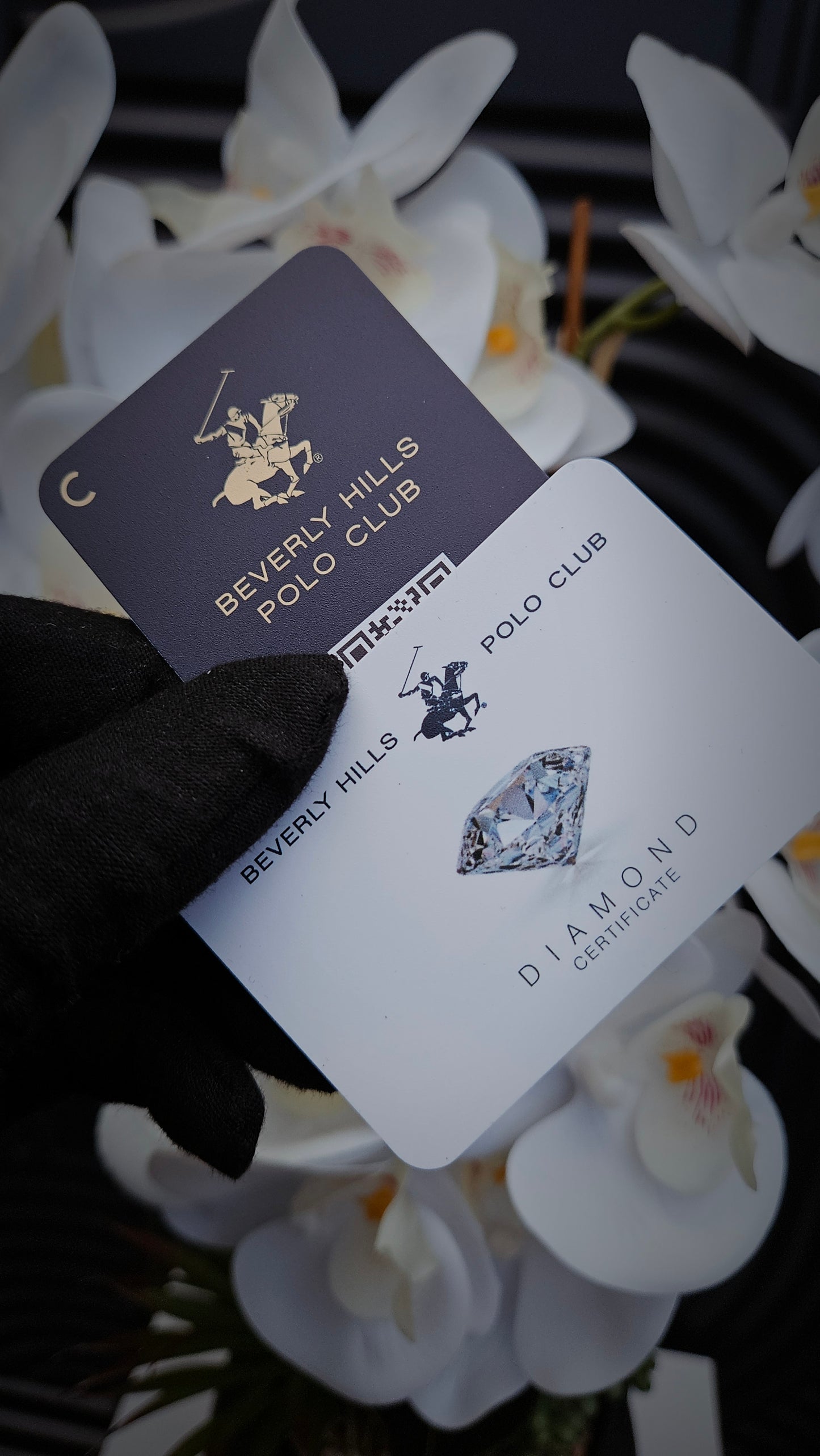 Beverly Hills Polo Club Diamond Ladies Watch
