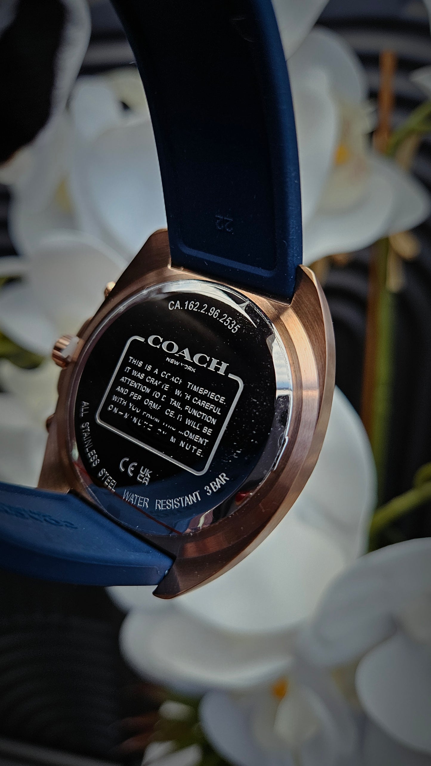 Blue Silicone 44mm Watch