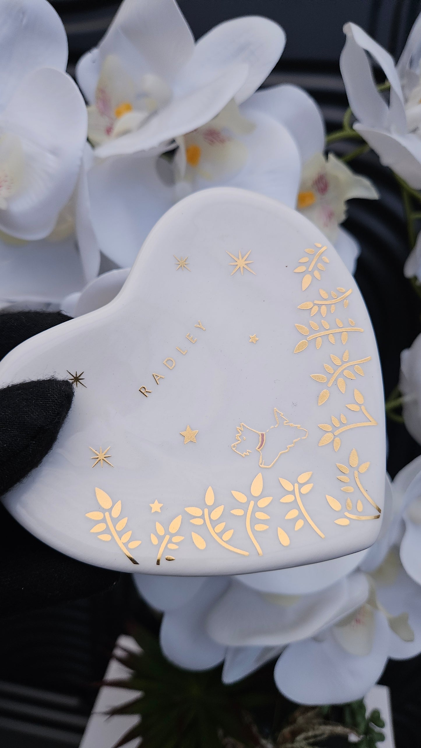 Black Strap Watch, Earrings And Trinket Tray