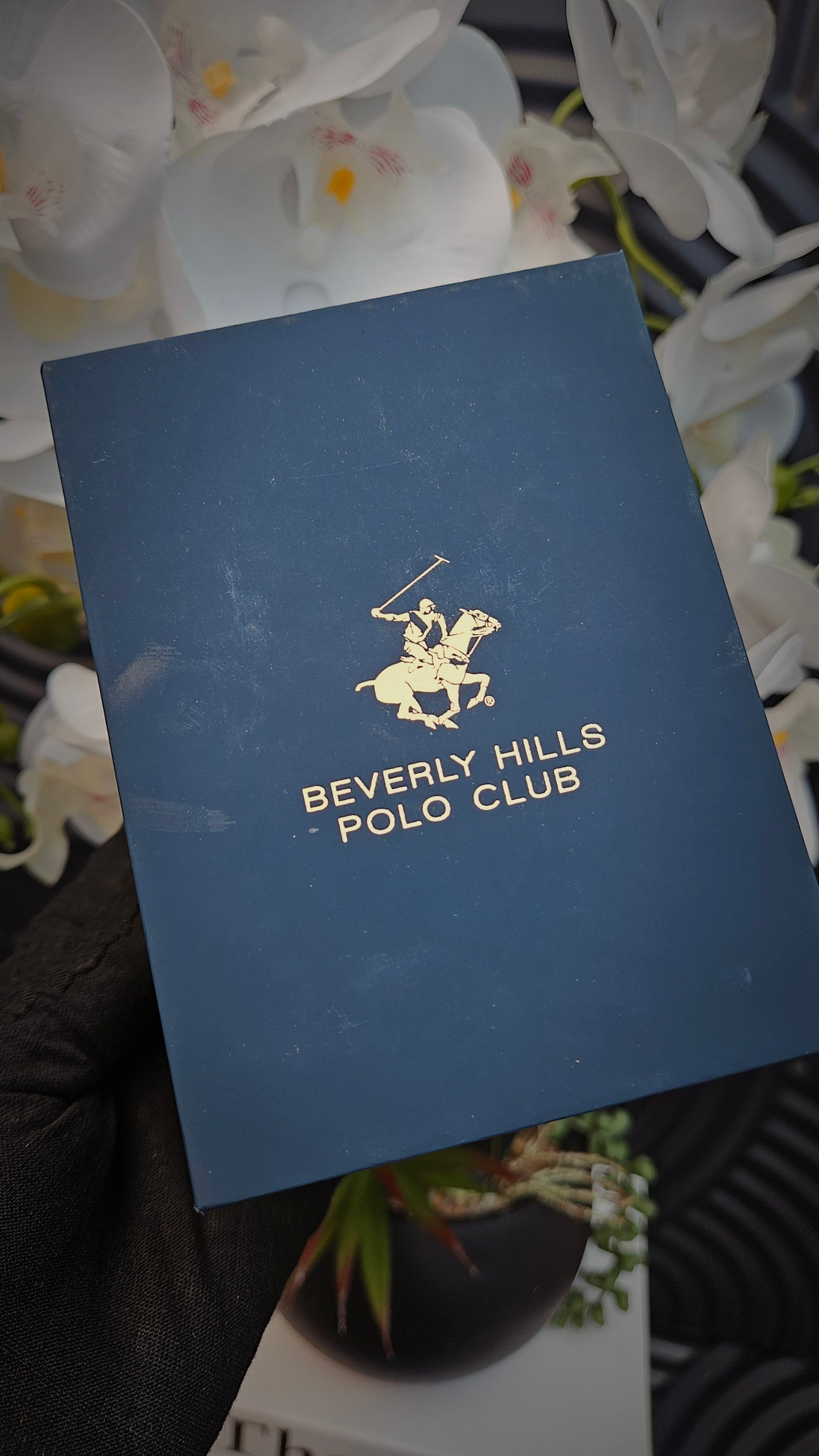 Beverly Hills Polo Club Silver Watch