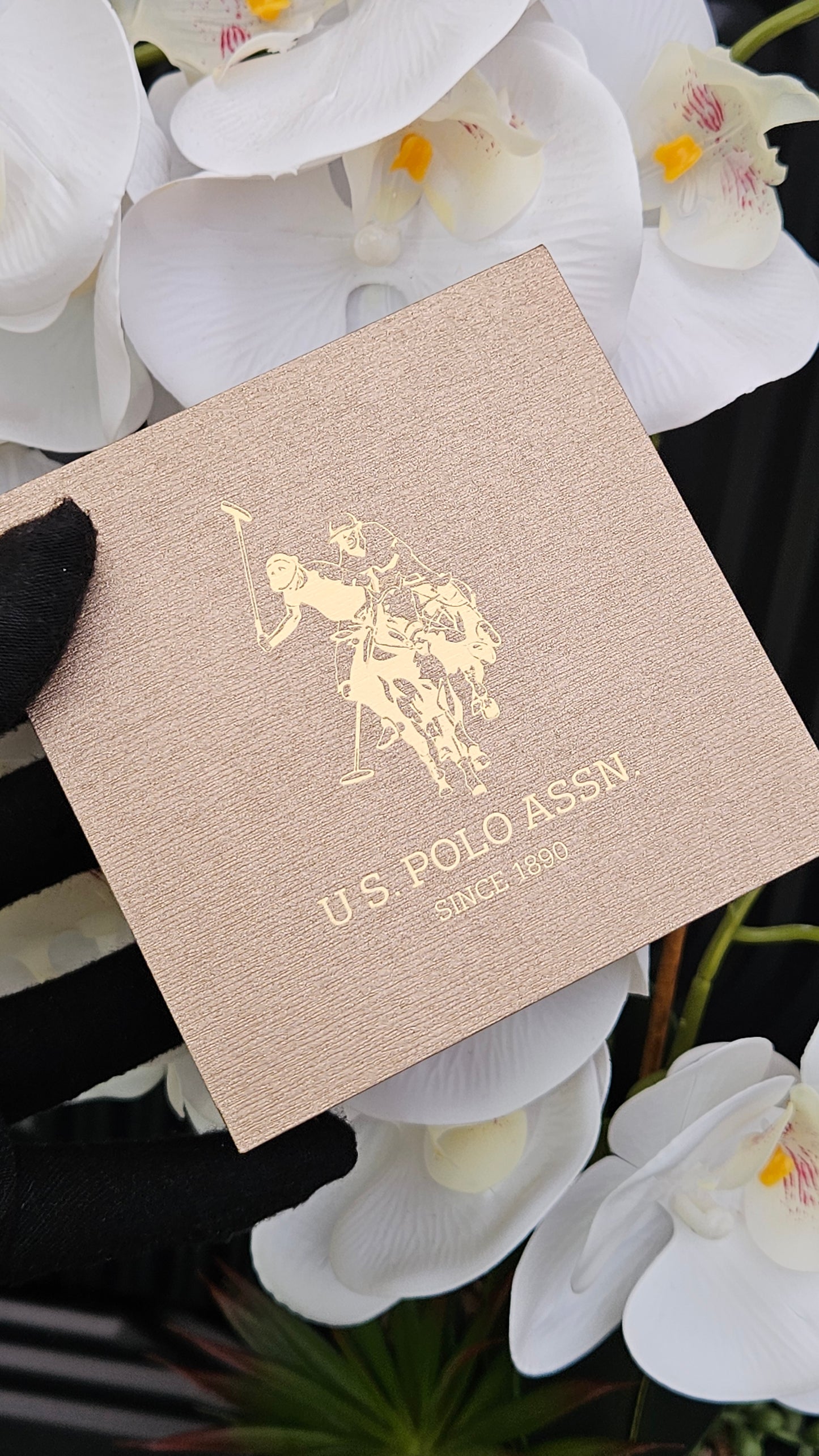 US Polo Assn Gold Tone & Green Stainless Steel Watch For Ladies