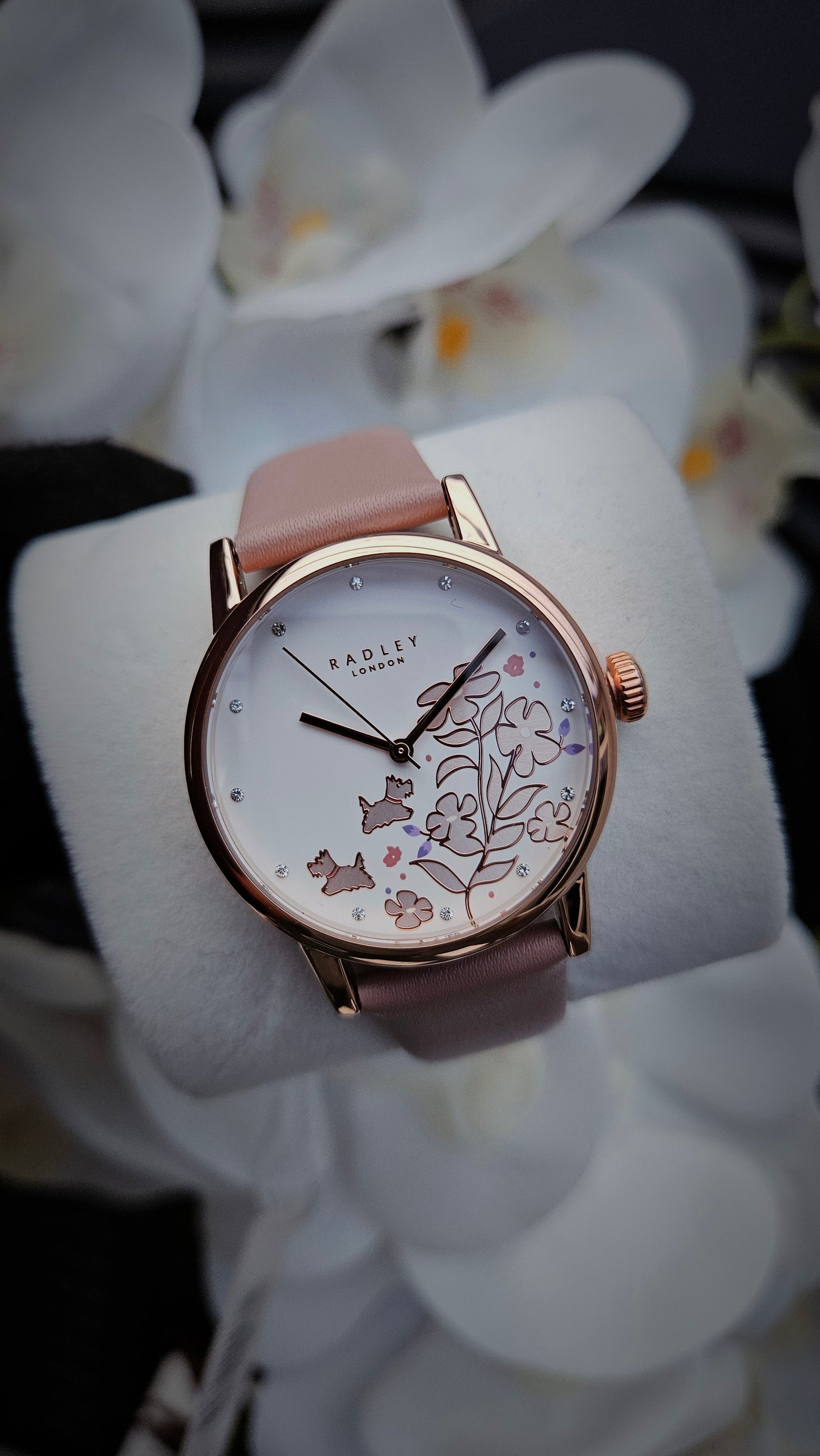 Womens Heart Trinket Set and Watch