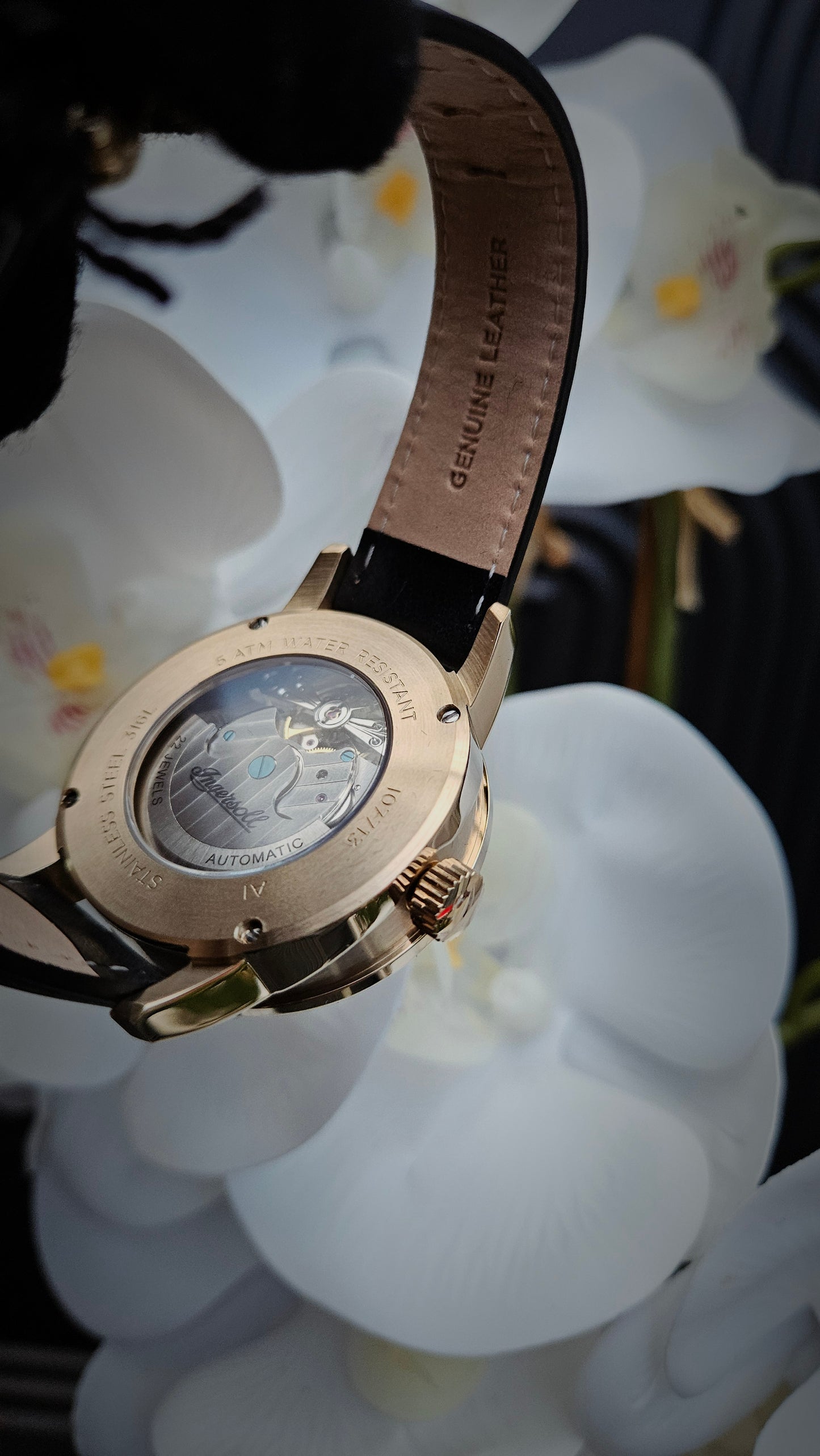 Black & Gold Tone Leather Watch