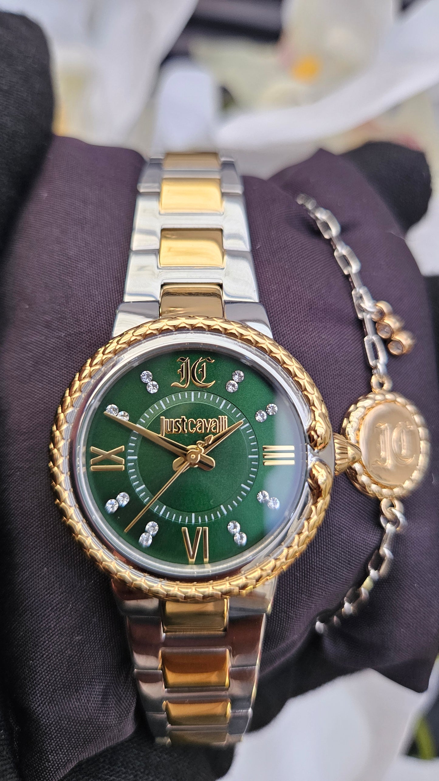J.C Green Dial Watch & Bracelet Set