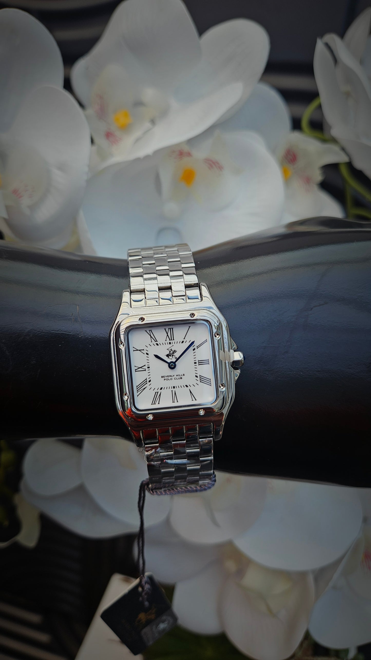 Beverly Hills Polo Club Silver Watch
