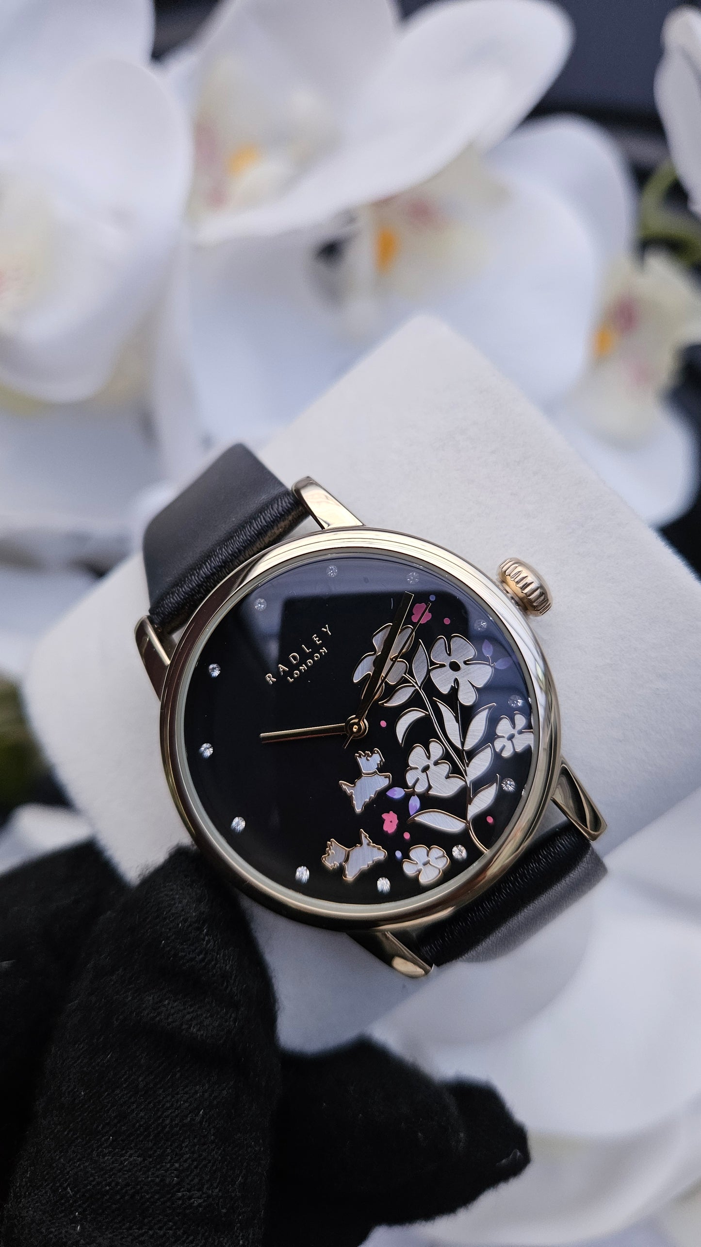 Black Strap Watch, Earrings And Trinket Tray
