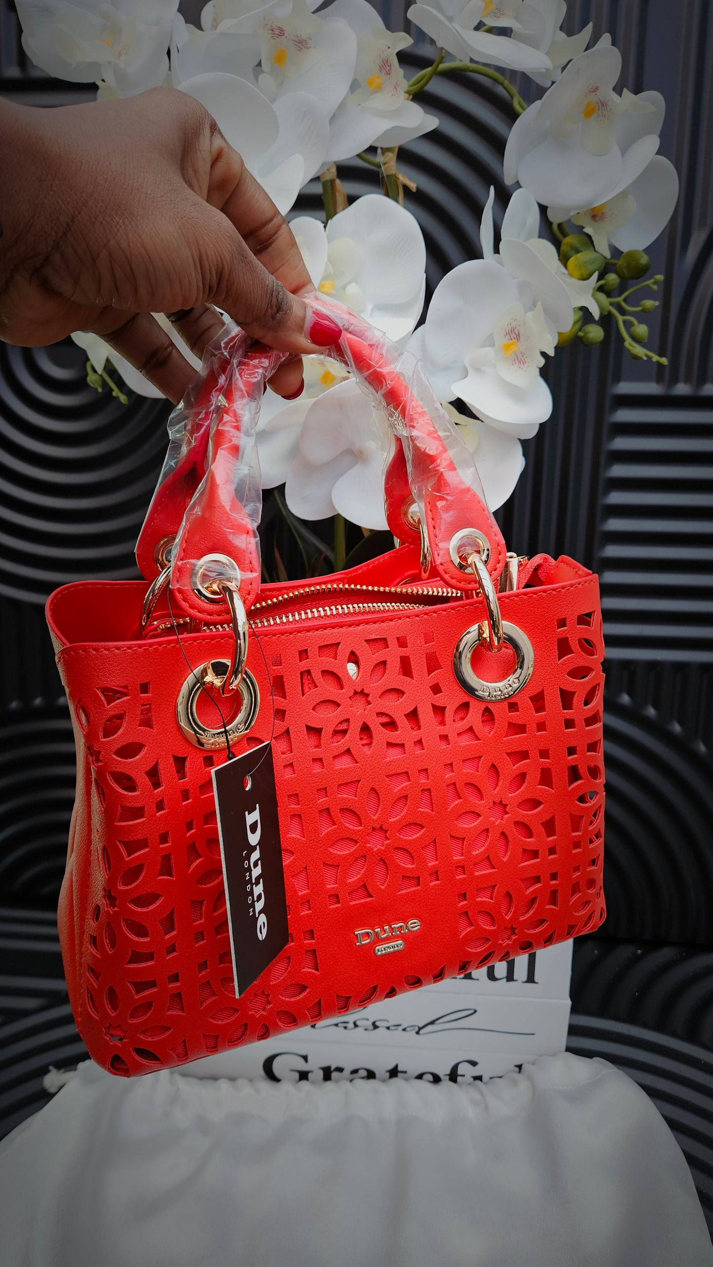 Dune Red Cut Out Crossbody Bag - Authentic Retail Product