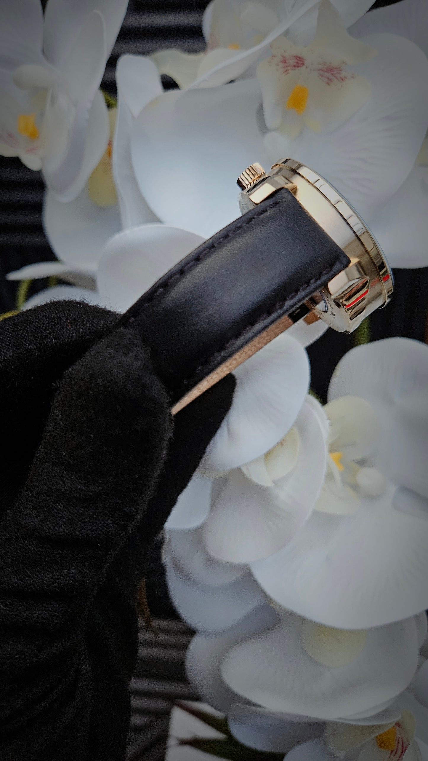 Black & Gold Tone Leather Watch