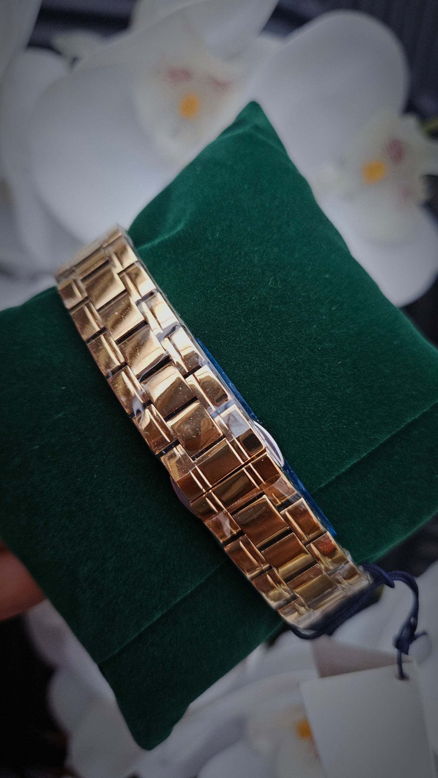 US Polo Assn Gold Tone & Green Ladies Analogue Watch