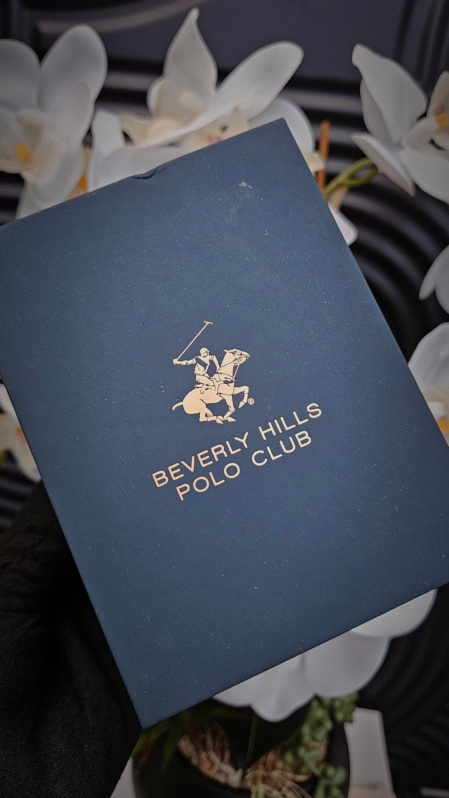 Beverly Hills Polo Club Analogue Watch