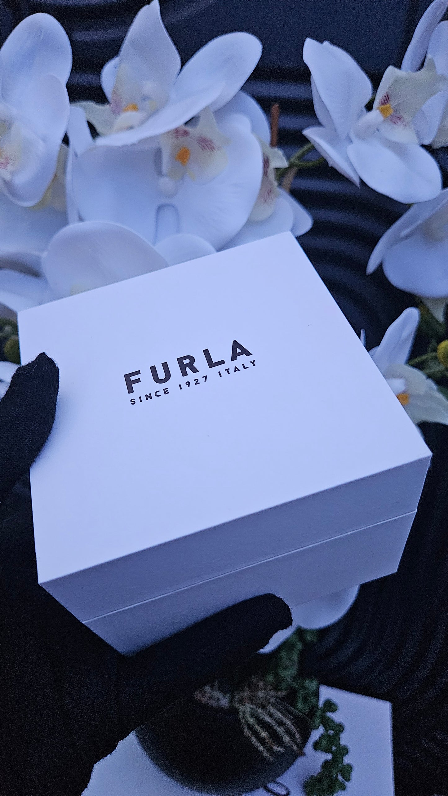 FURLA Ladies Watch