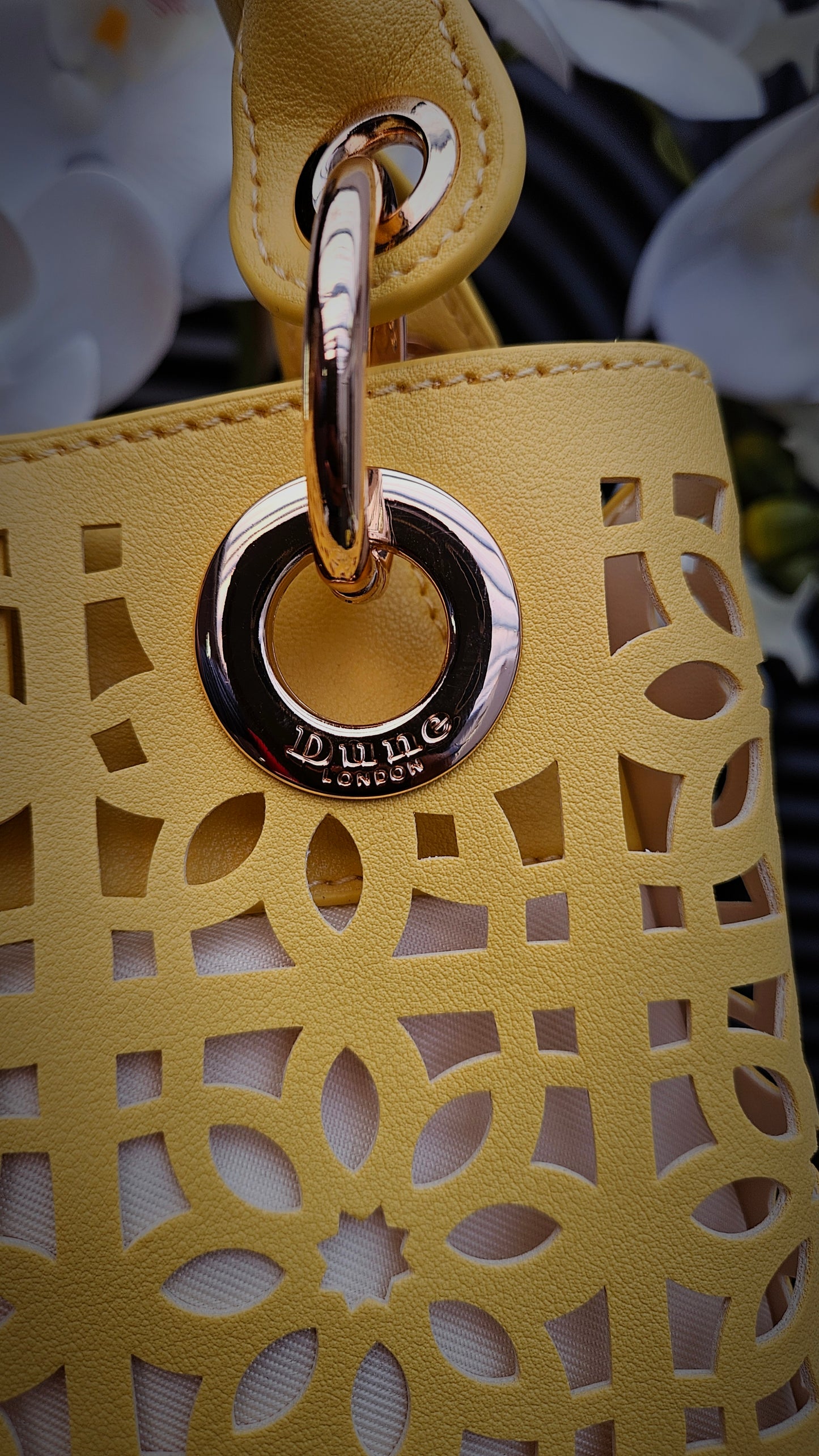Dune Yellow Cut Out Crossbody Bag - Authentic Retail Product